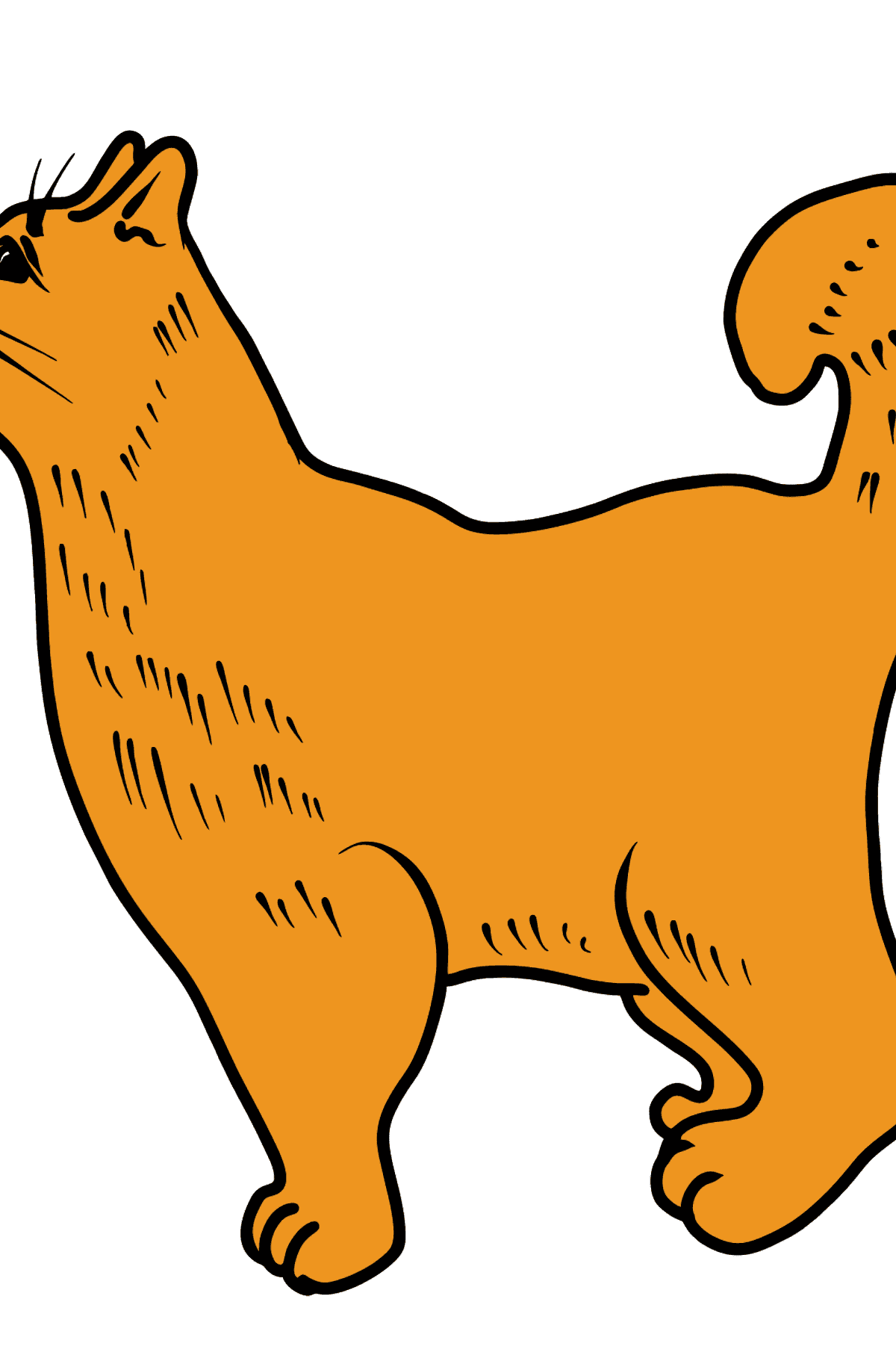 Dibujo de gato para colorear - Dibujos para Colorear para Niños