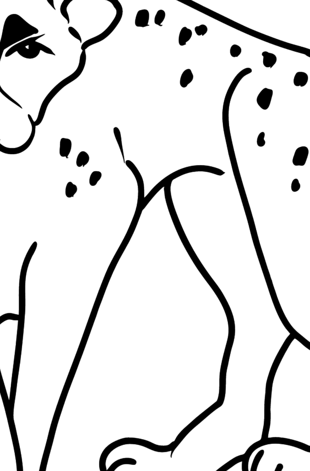 Omalovánka Gepard - Omalovánka podle Geometrických tvarů pro děti