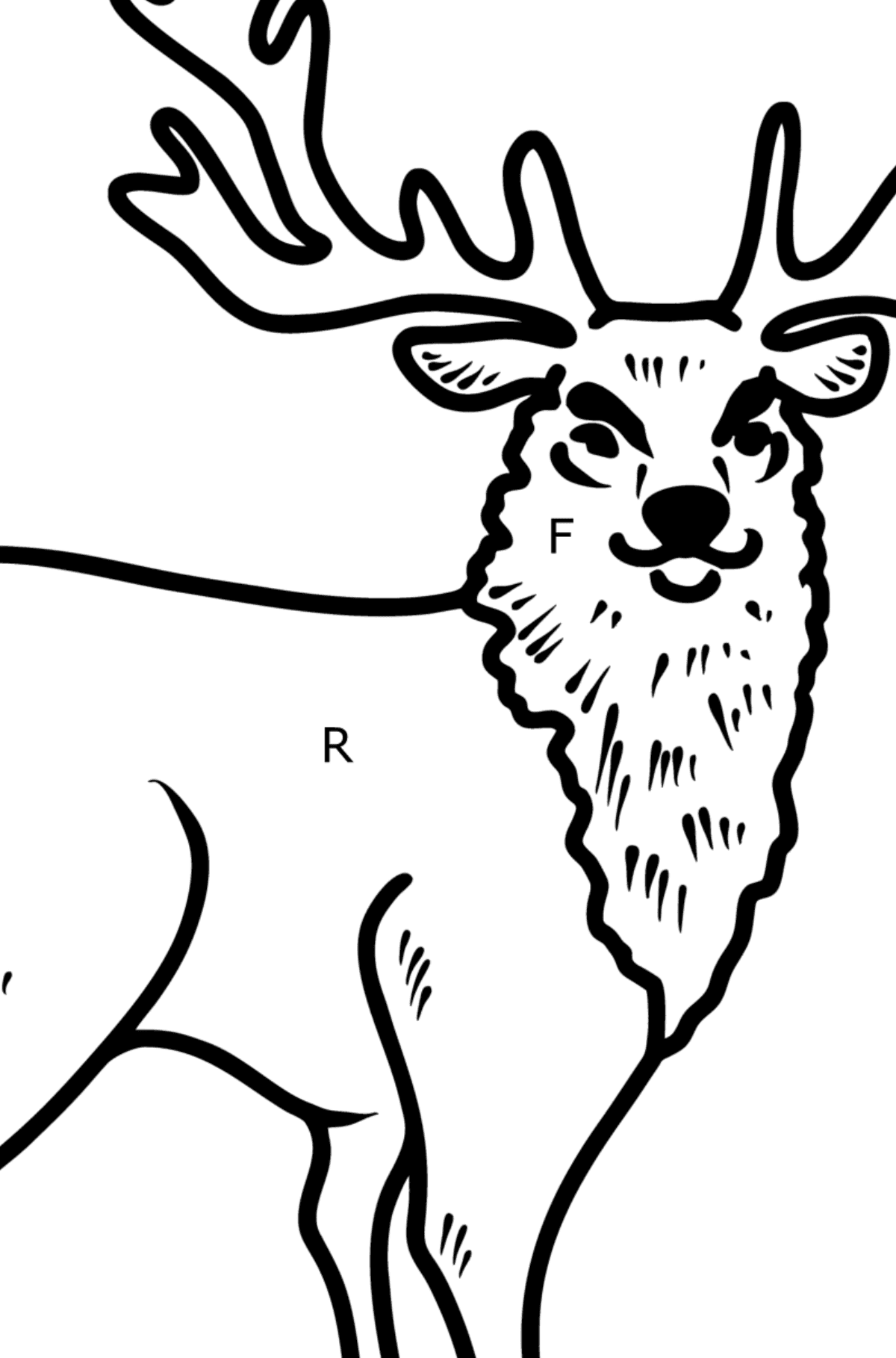 Tegning til fargelegging hjort - Fargelegge etter bokstaver for barn