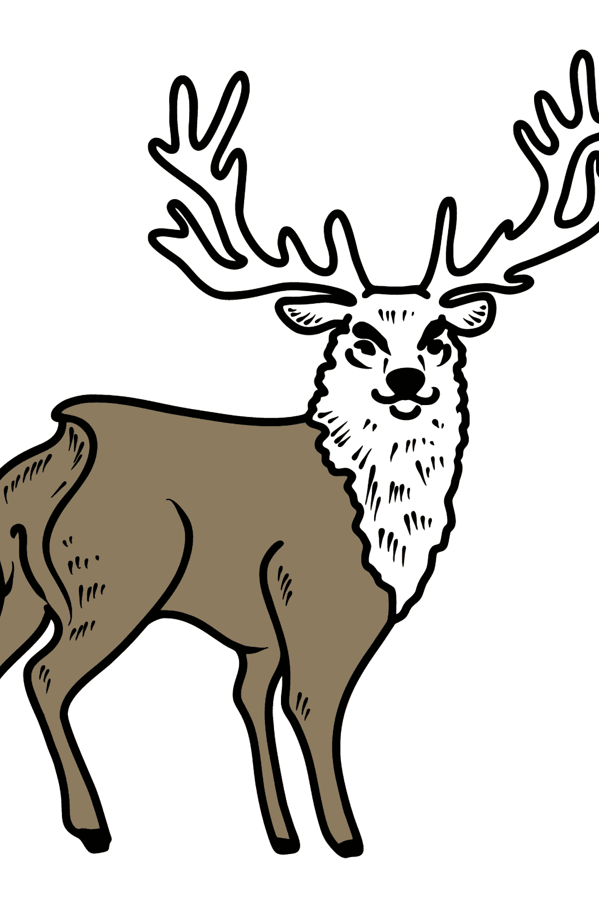 Deer coloring page - Coloring Pages for Kids