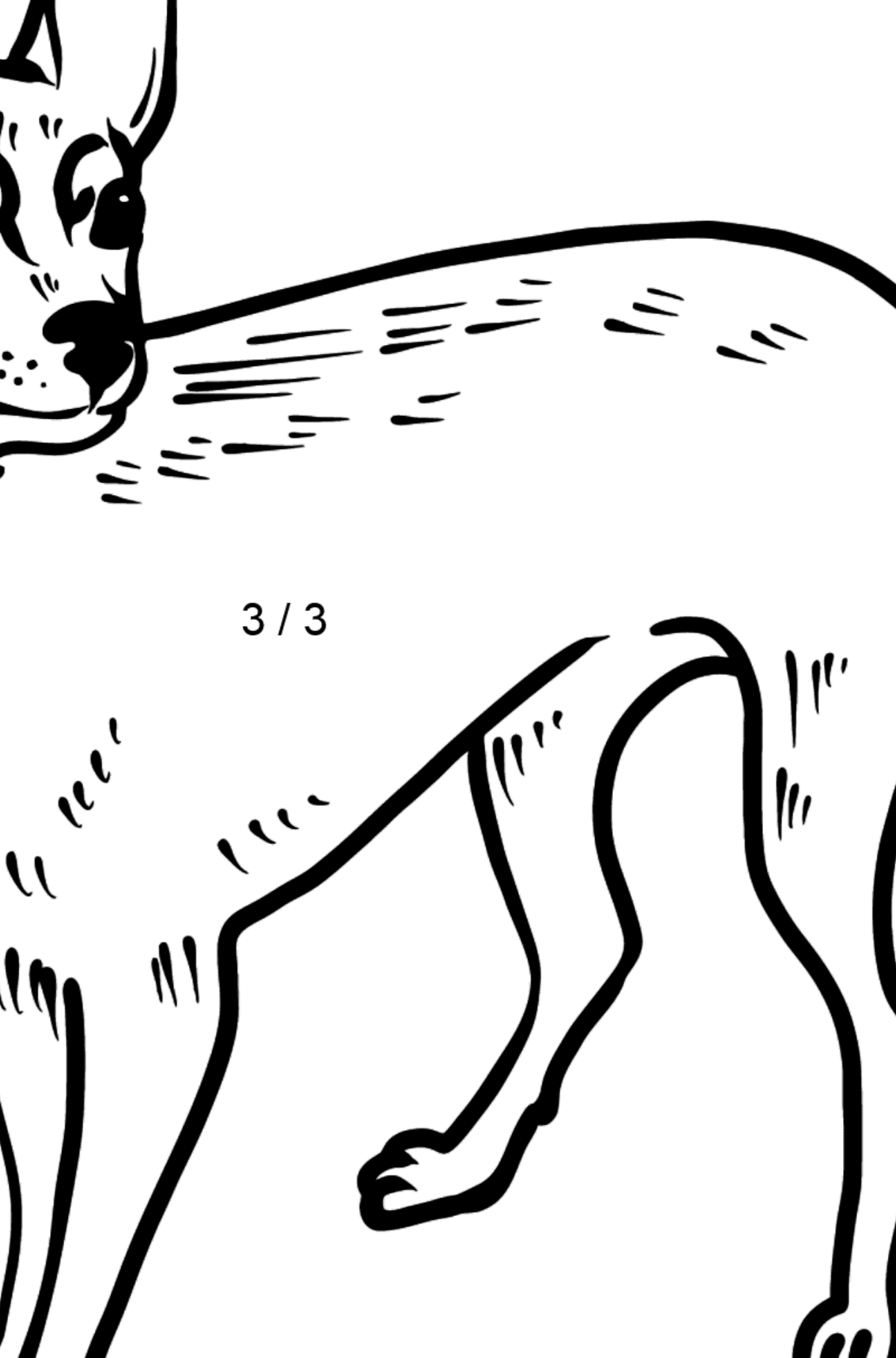 Dog coloring page - Math Coloring - Division for Kids