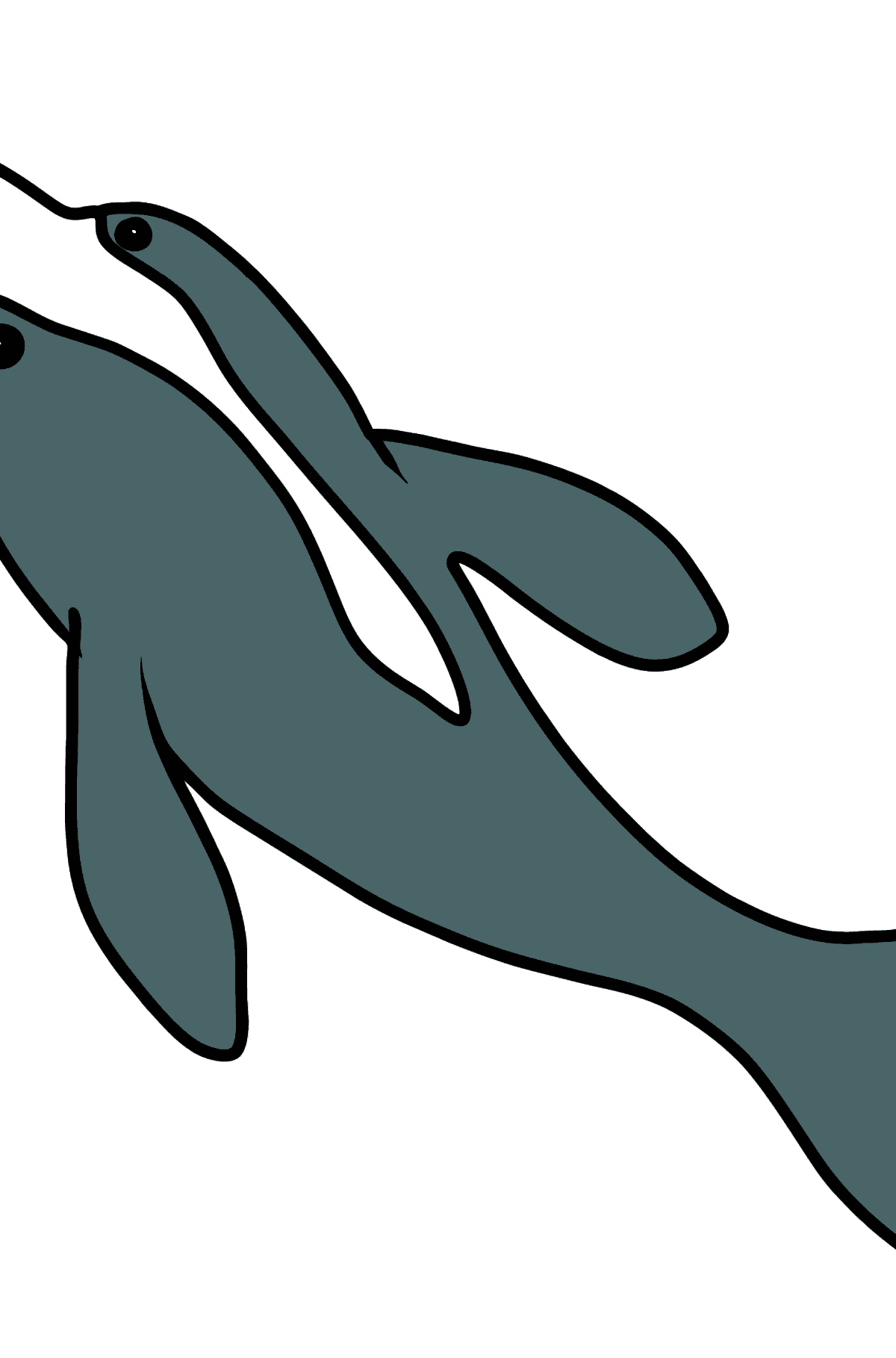 Desenho para colorir do golfinho - Imagens para Colorir para Crianças