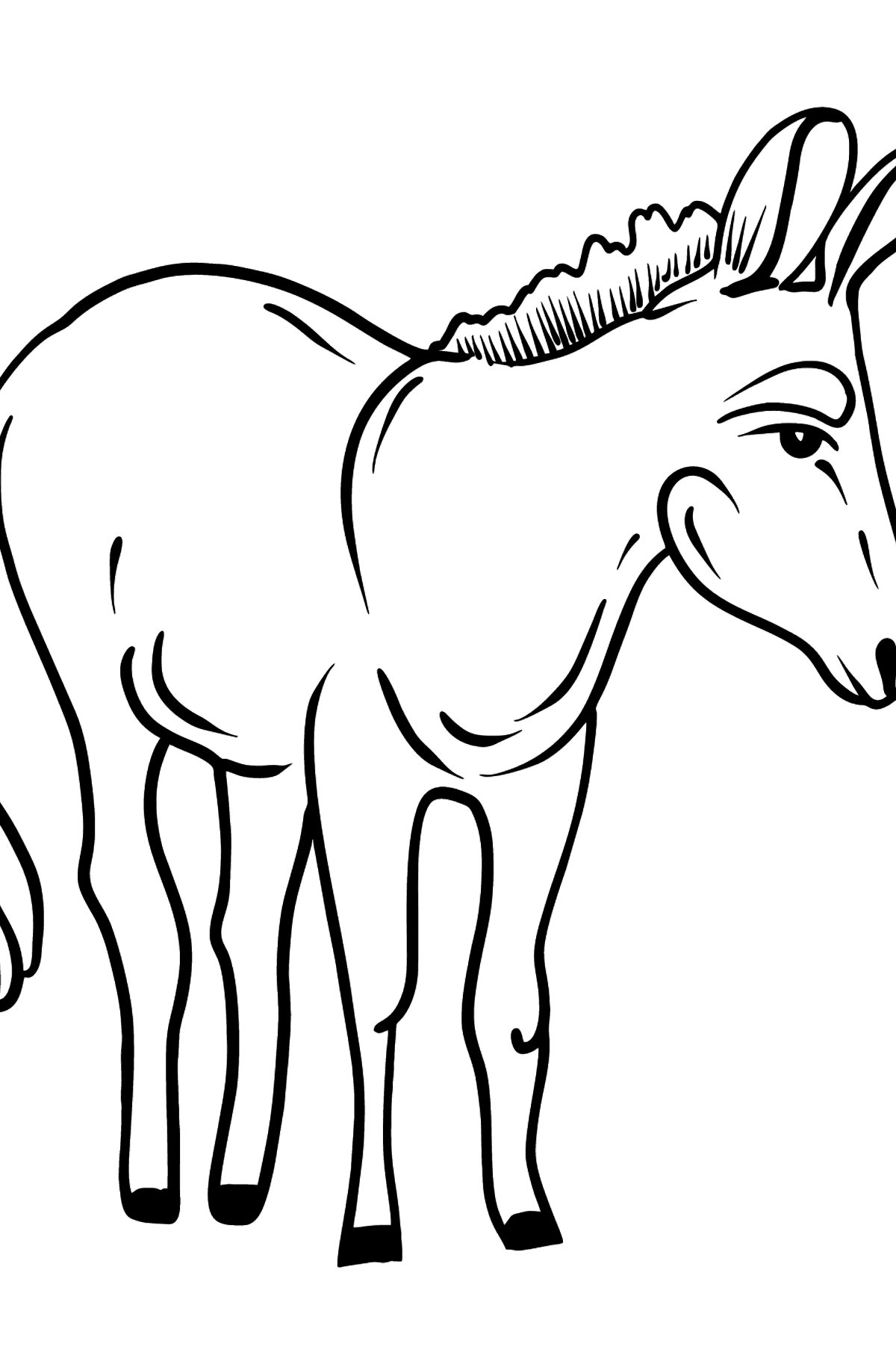 Donkey coloring page - Coloring Pages for Kids