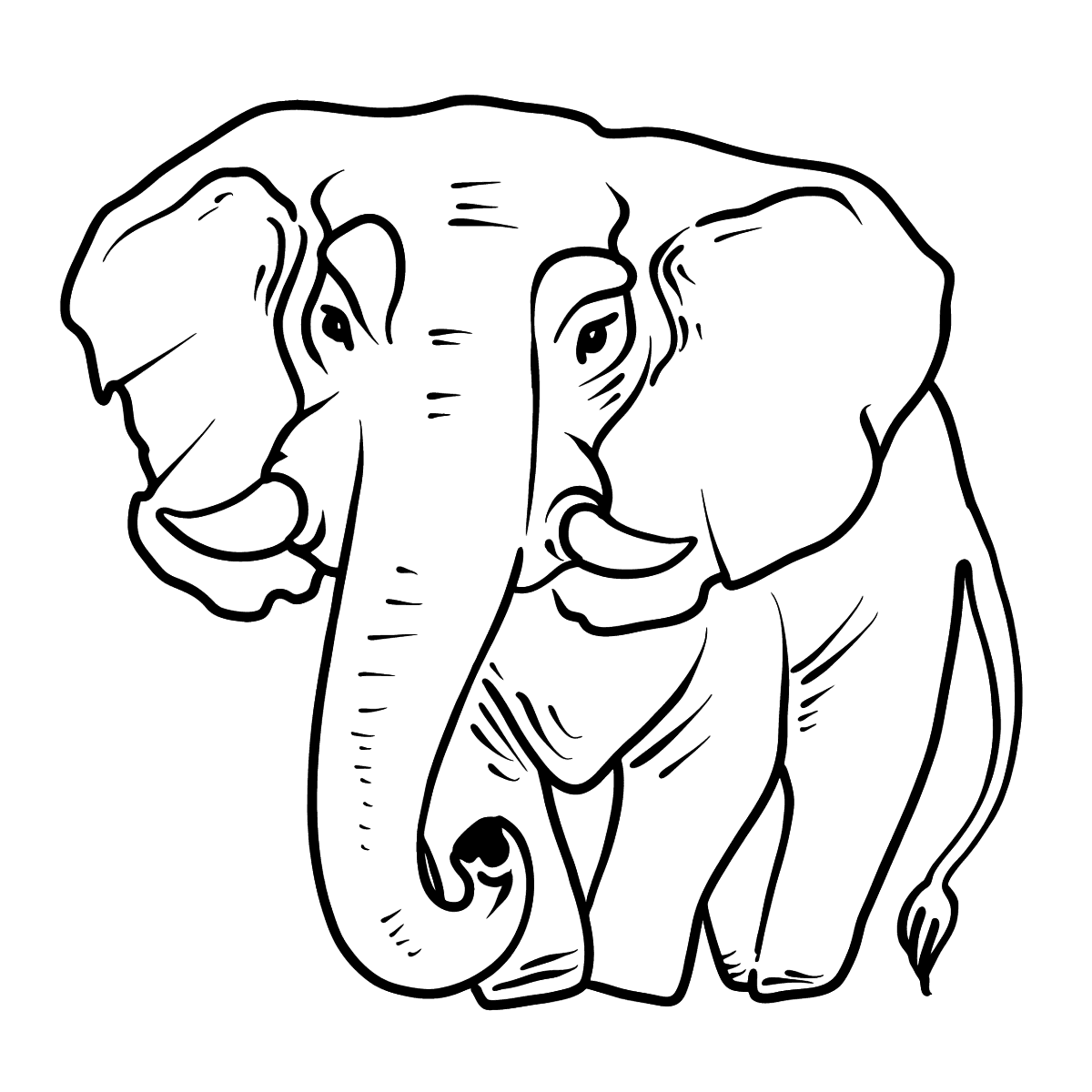 Раскраска Слон распечатать или скачать бесплатно