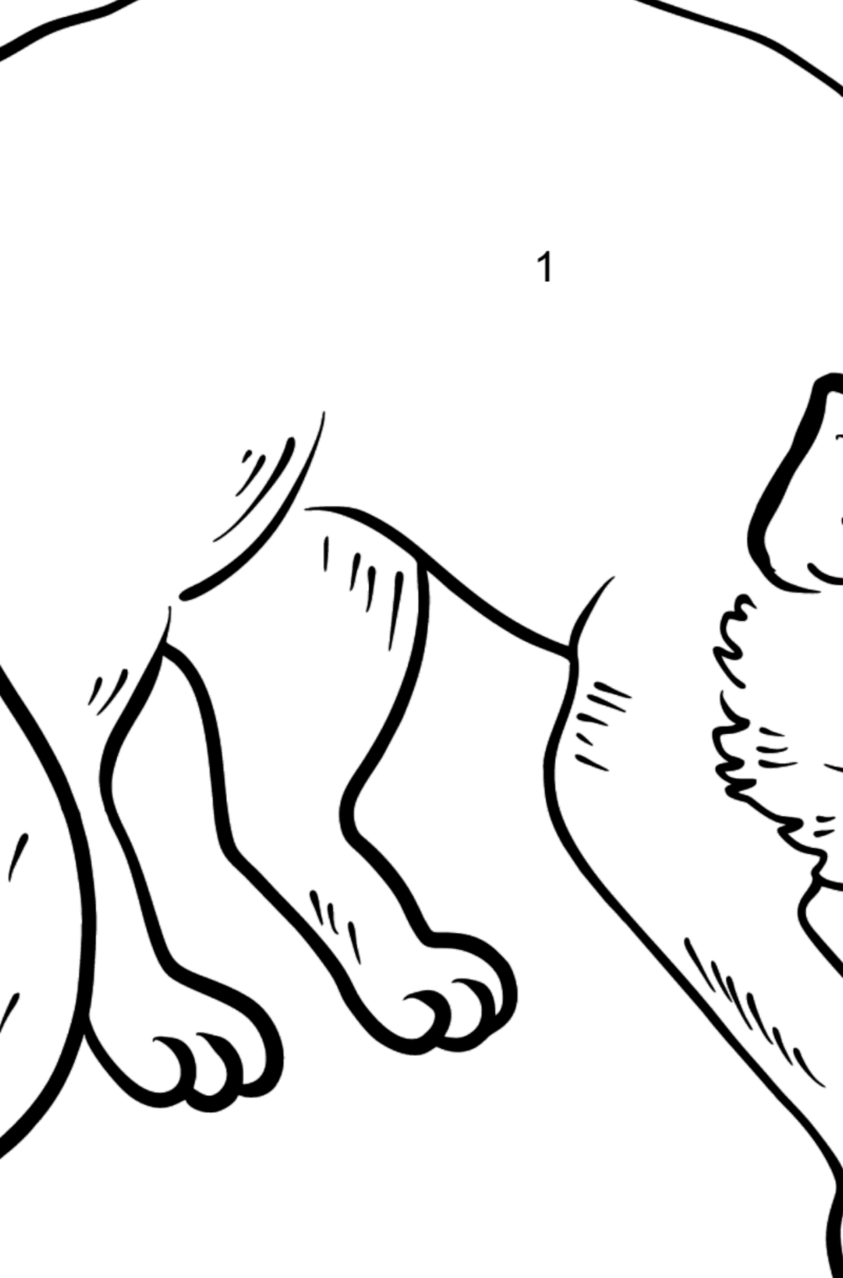Fox coloring page - Coloring by Numbers for Kids