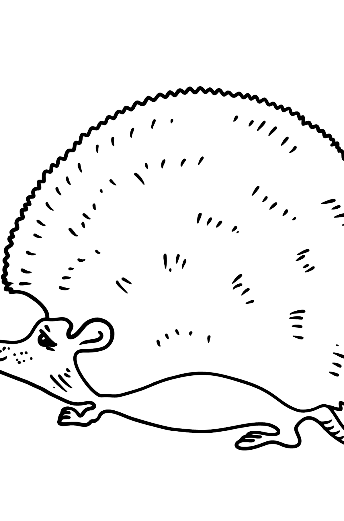 Tegning til farvning pindsvin for de yngste - Tegninger til farvelægning for børn