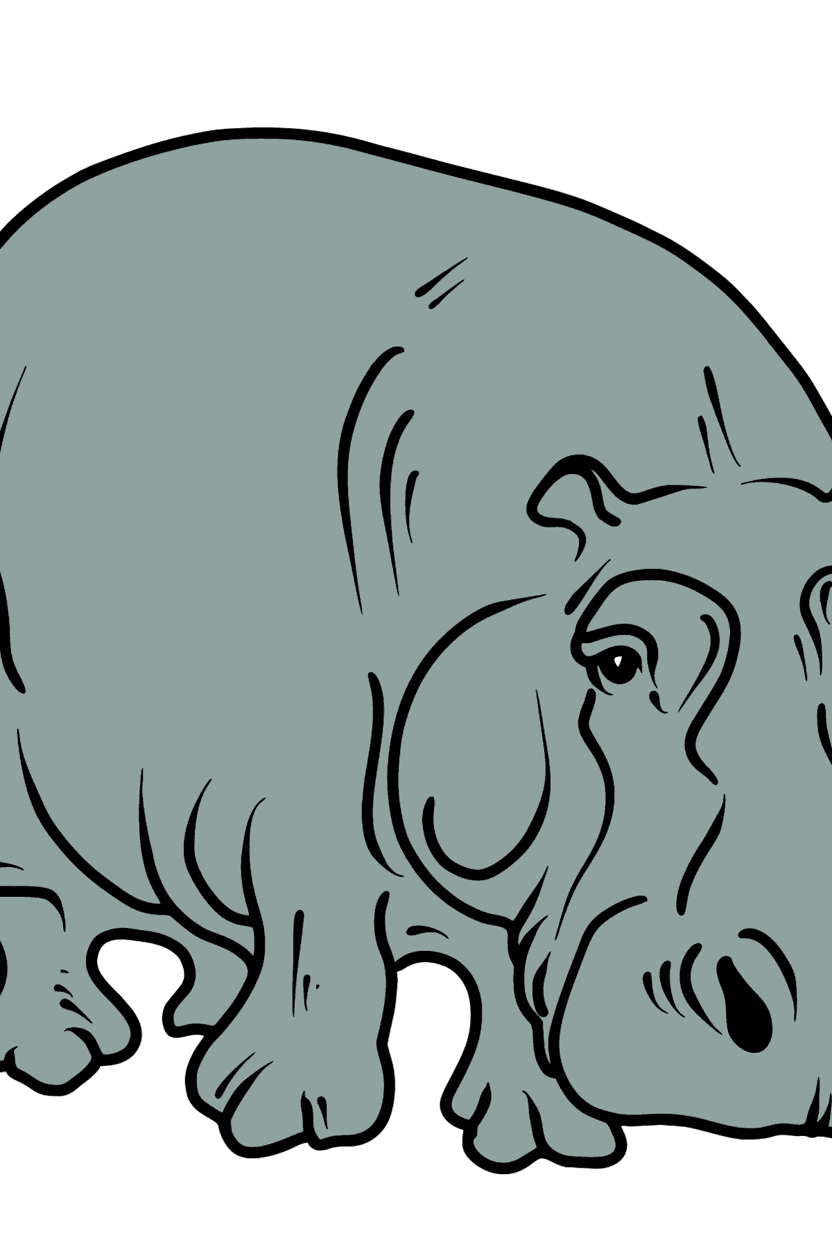 Dibujo de hipopótamo para colorear - Dibujos para Colorear para Niños