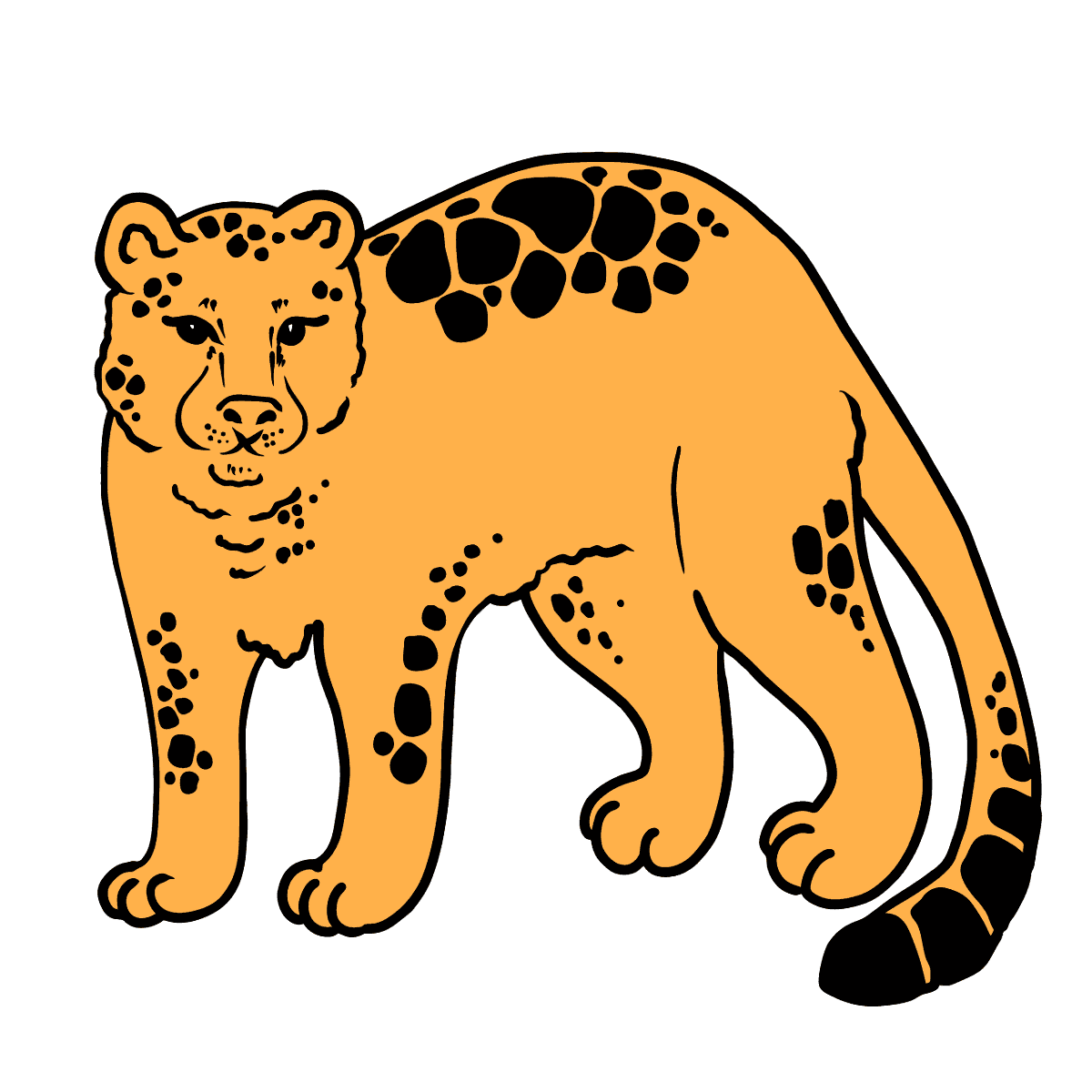 Как нарисовать ягуара