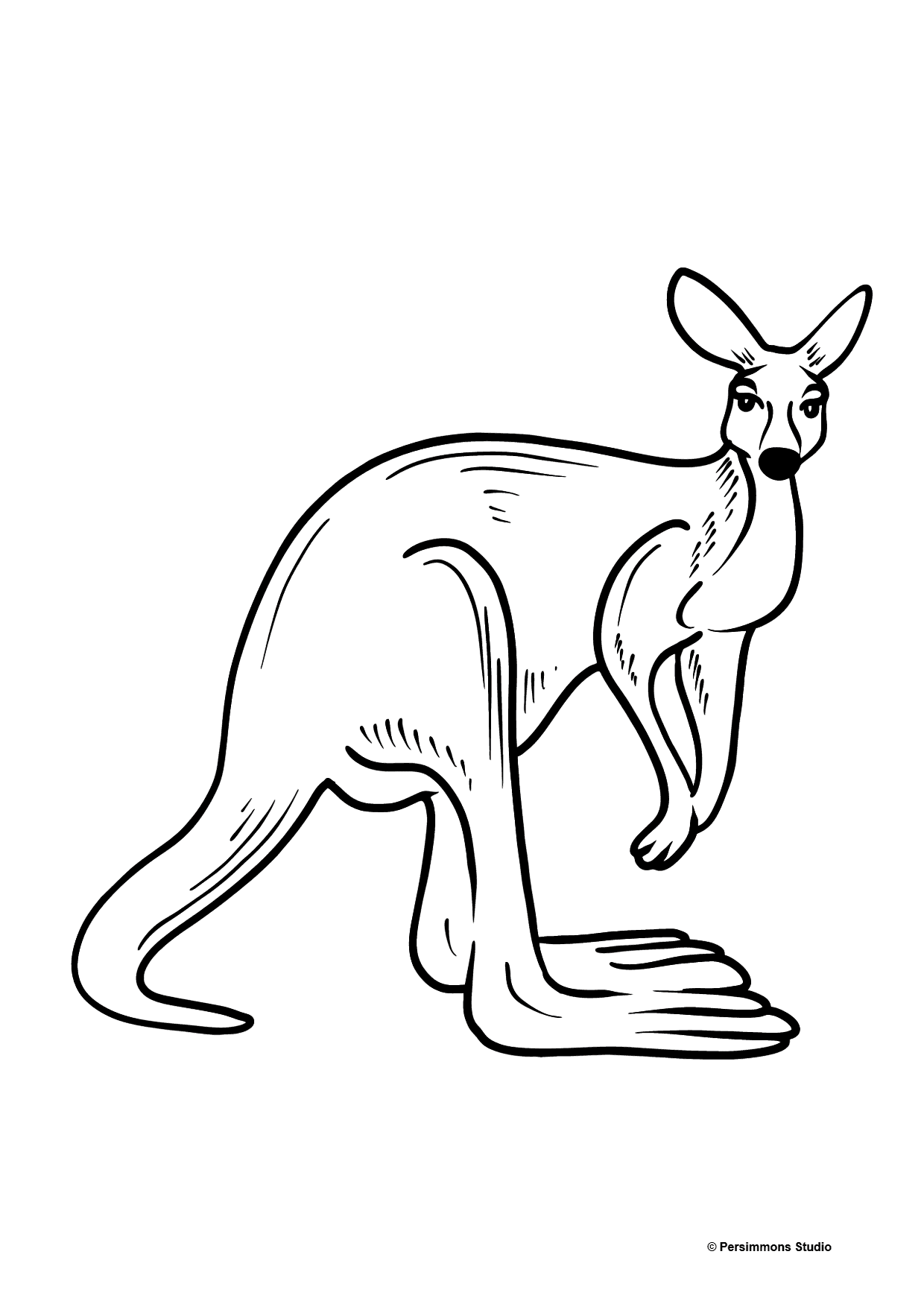  Känguru Ausmalbild ♥ Kostenlos online Illustration 