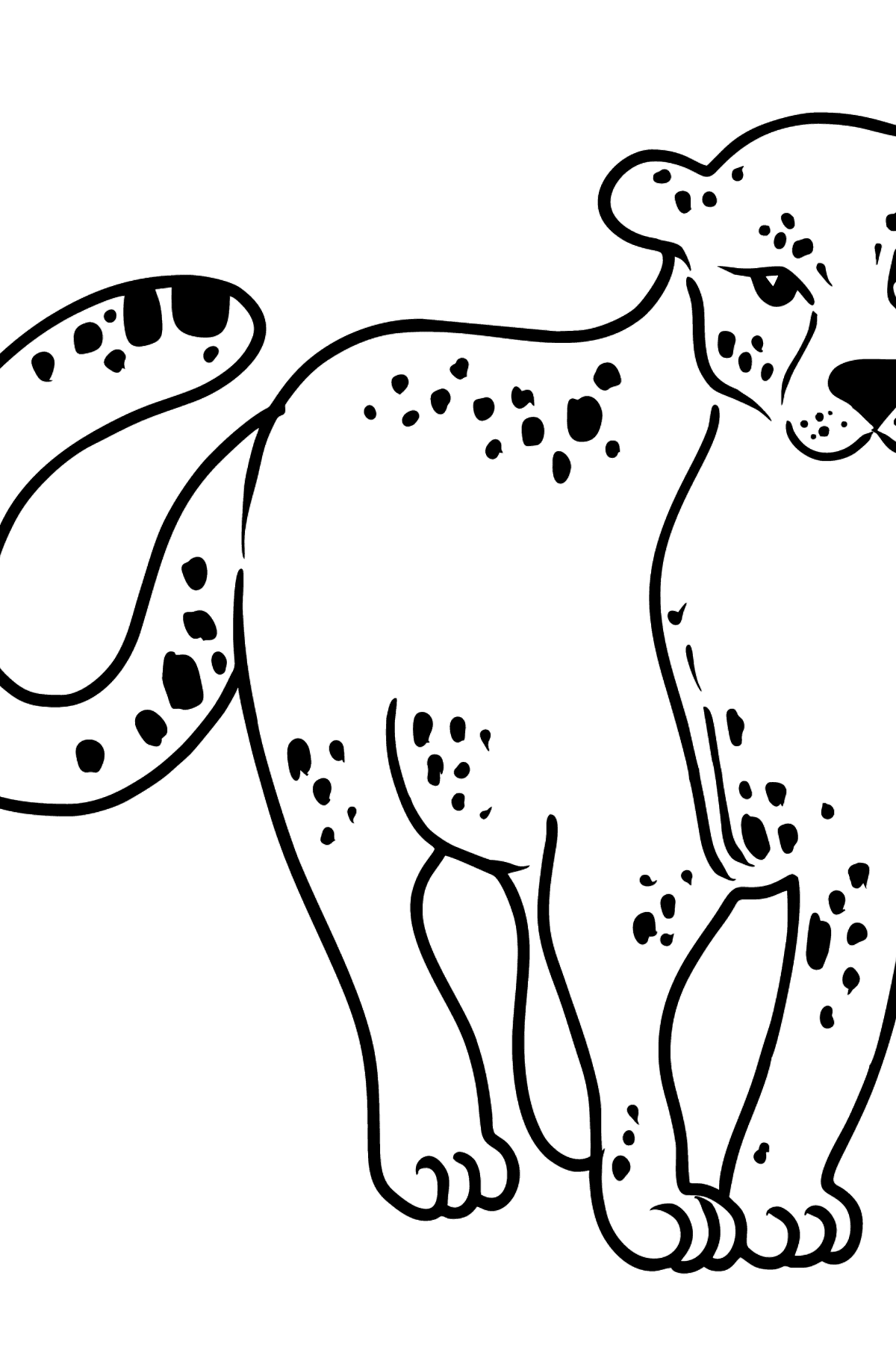 Desen de colorat leopard - Desene de colorat pentru copii