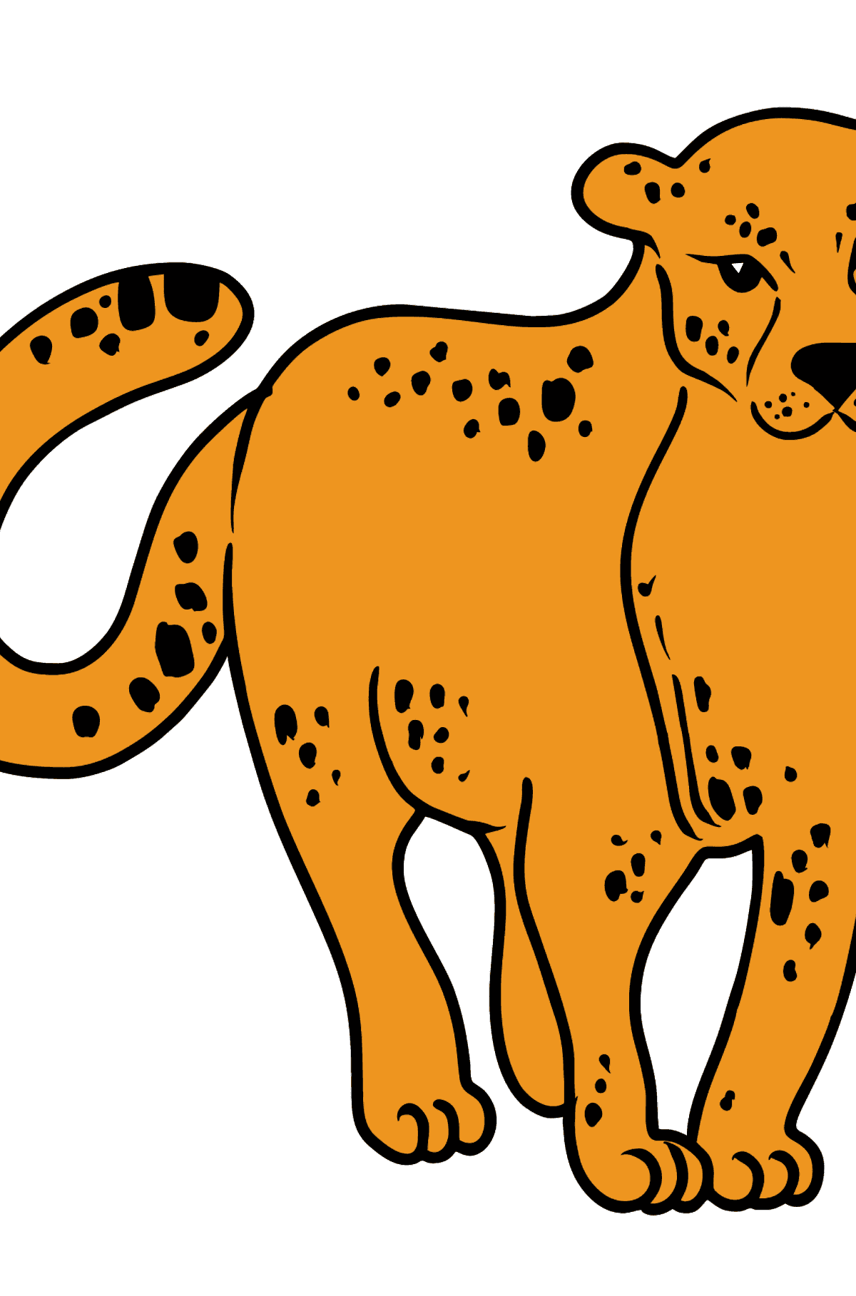 Dibujo de leopardo para colorear - Dibujos para Colorear para Niños