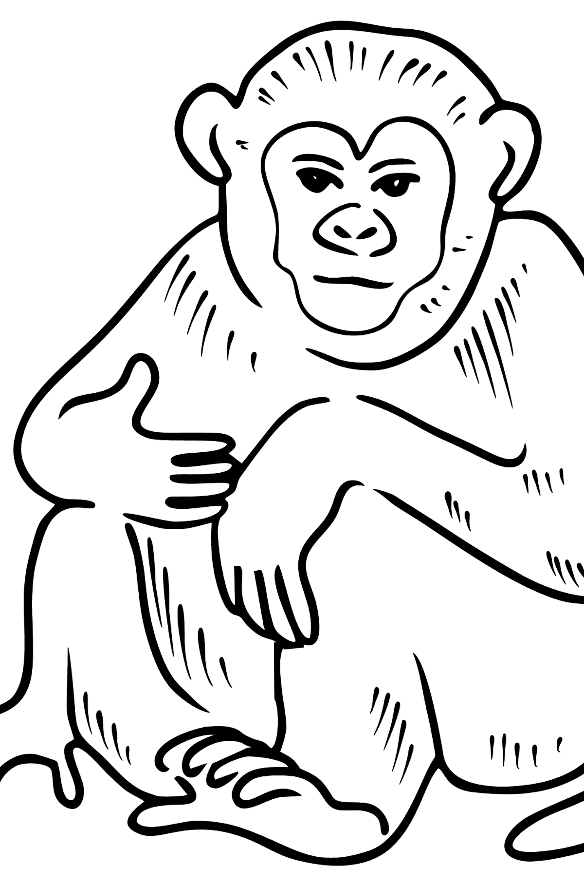 Розмальовка Мавпа для малюків - Розмальовки для дітей
