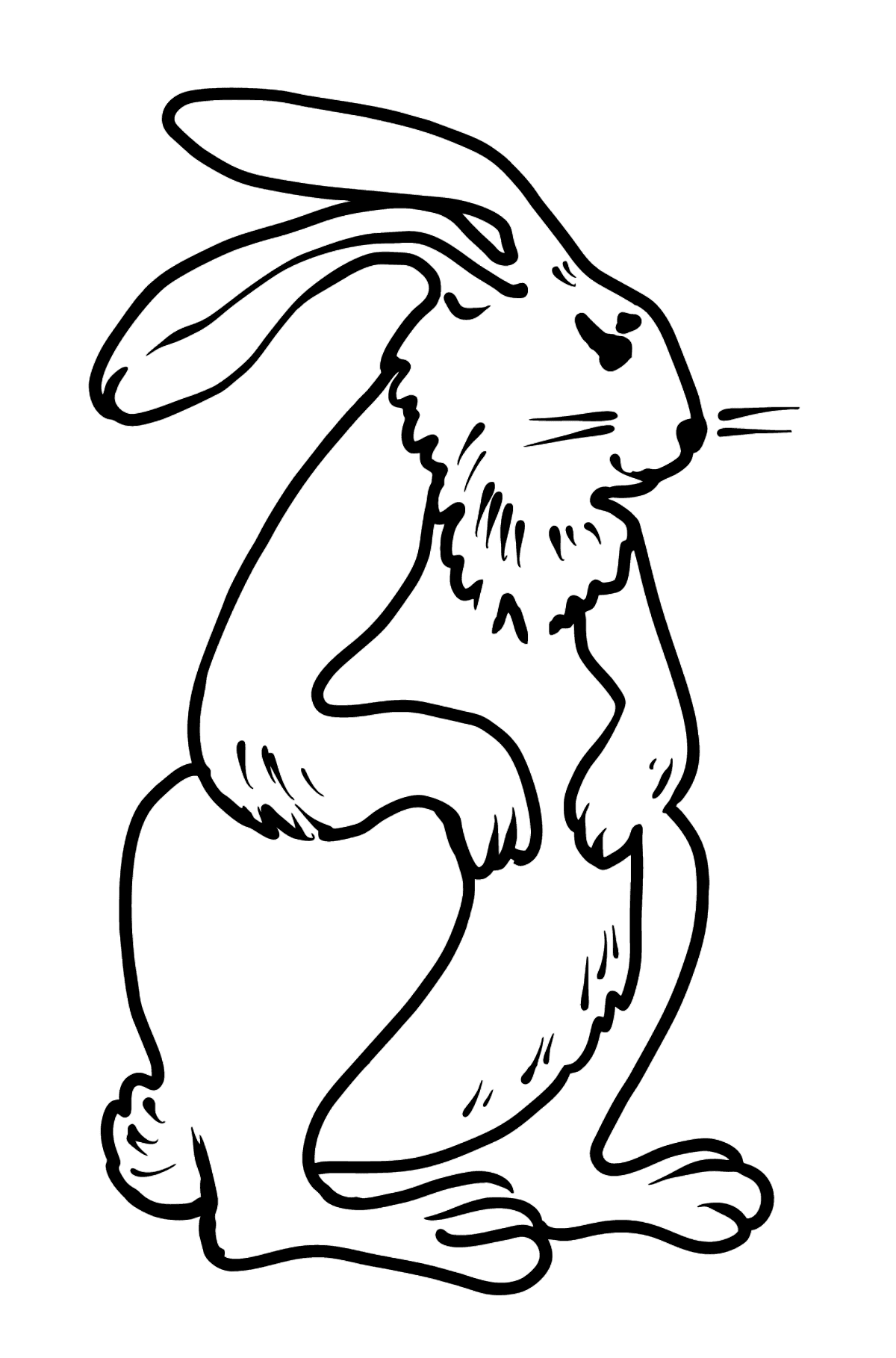 Tegning til fargelegging kanin - Tegninger til fargelegging for barn