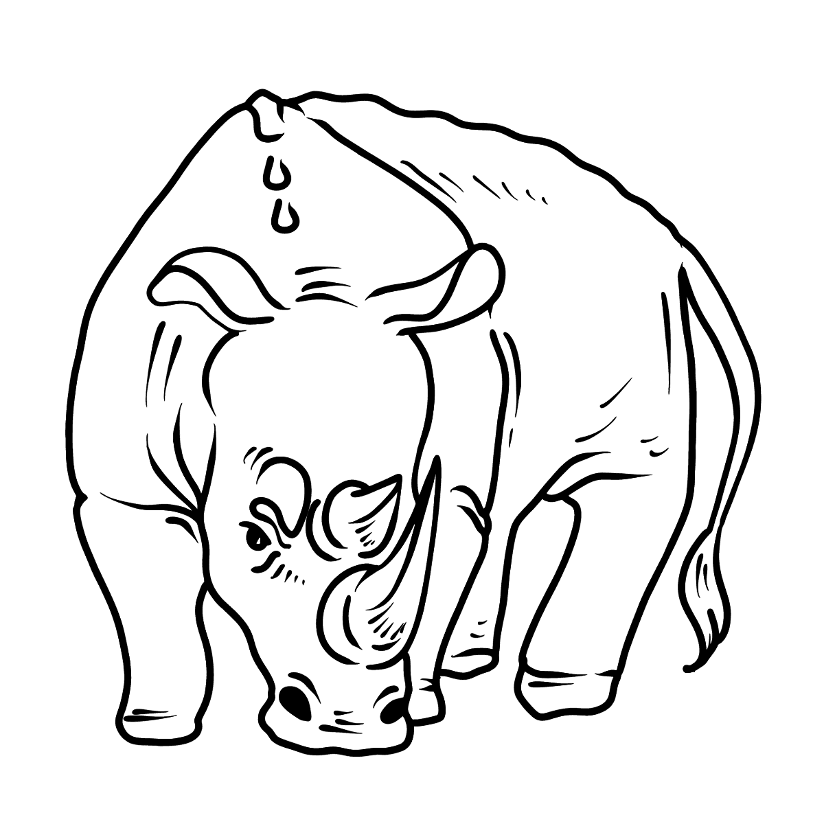 Носорог рисунок для детей карандашом