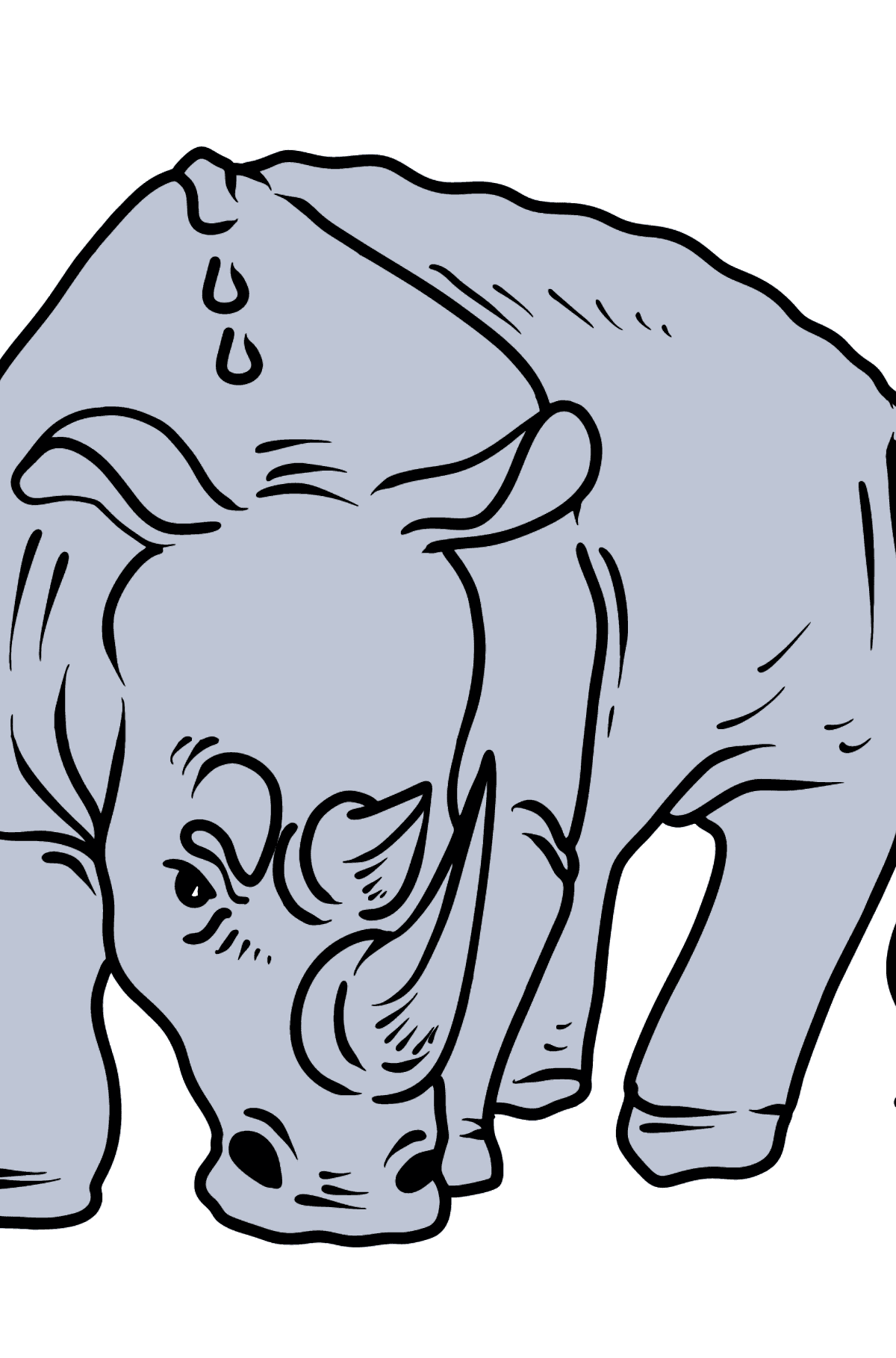 Раскраска носорог - Картинки для Детей