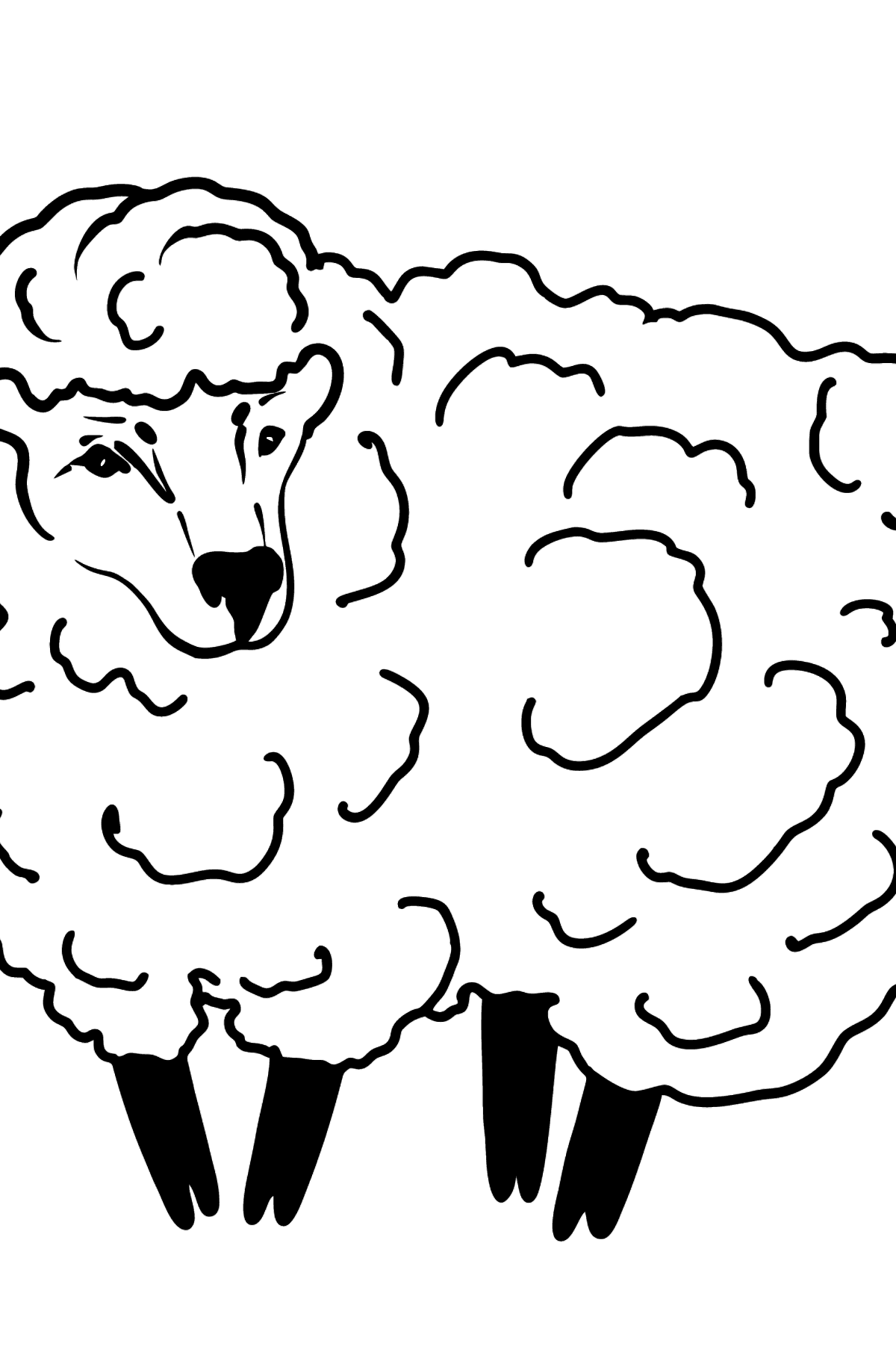 Dibujo de oveja para colorear - Dibujos para Colorear para Niños