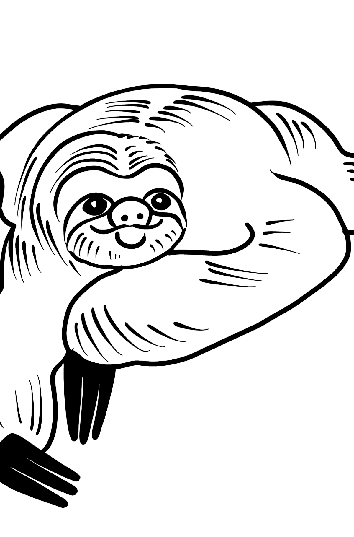 Раскраска ленивец - Картинки для Детей