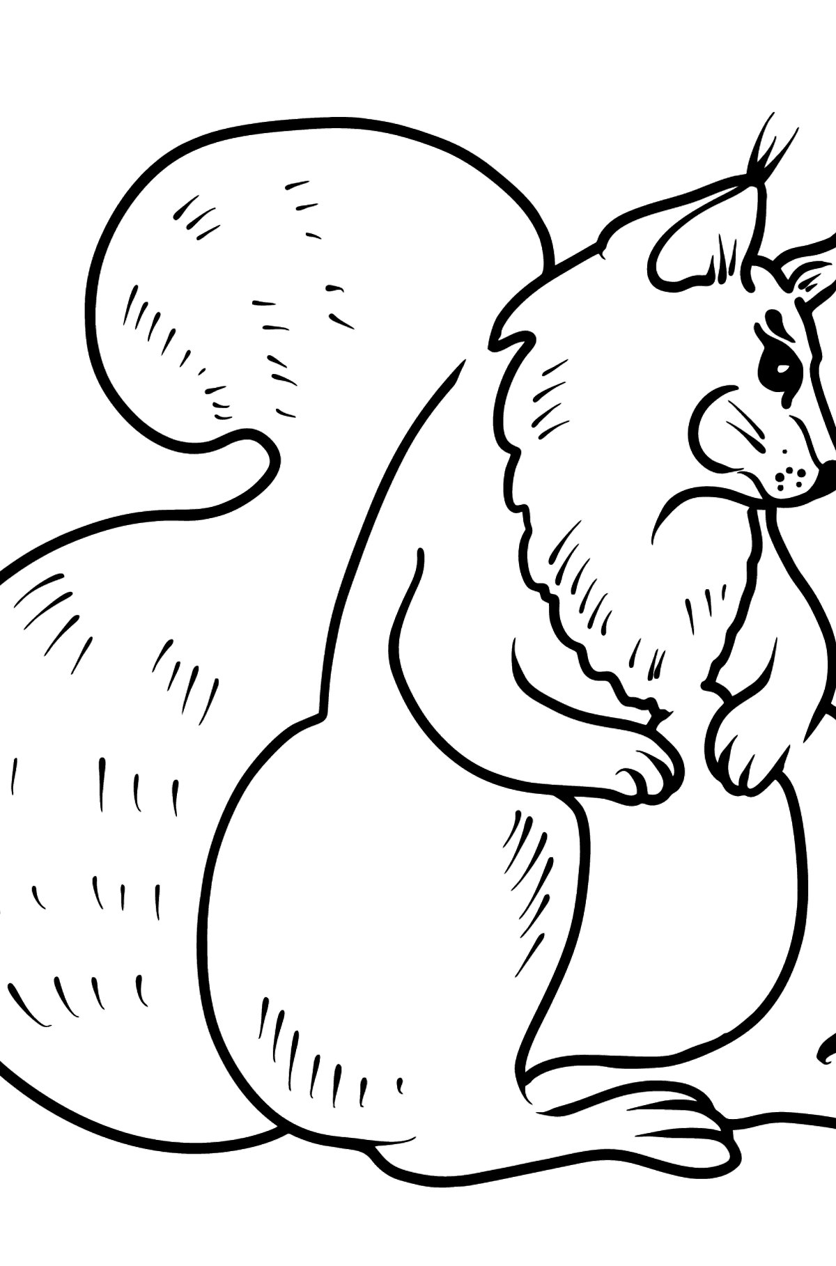 Tegning til farvning egern - Tegninger til farvelægning for børn