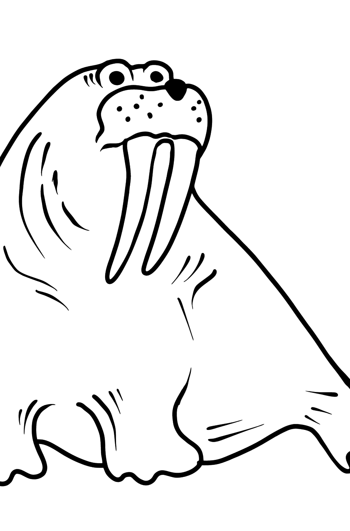 Walrus coloring page - Coloring Pages for Kids