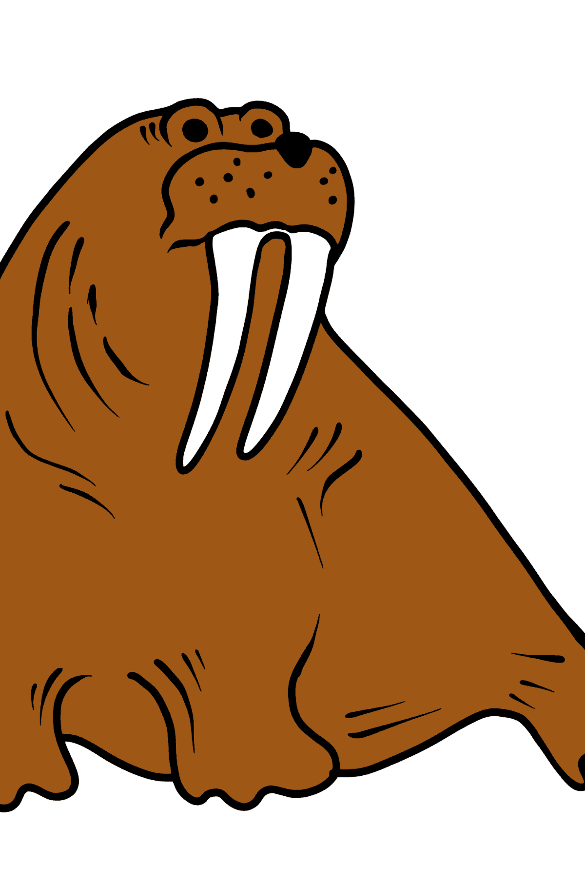 Dibujo de morsa para colorear - Dibujos para Colorear para Niños