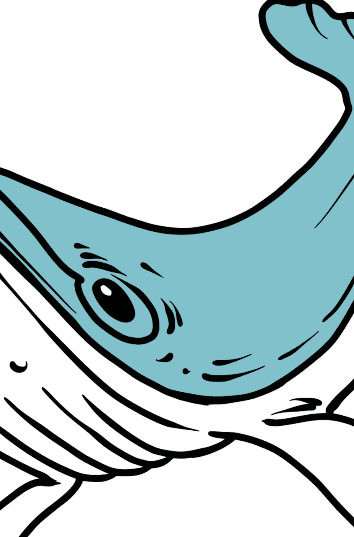 Раскраска кит - По Номерам для Детей