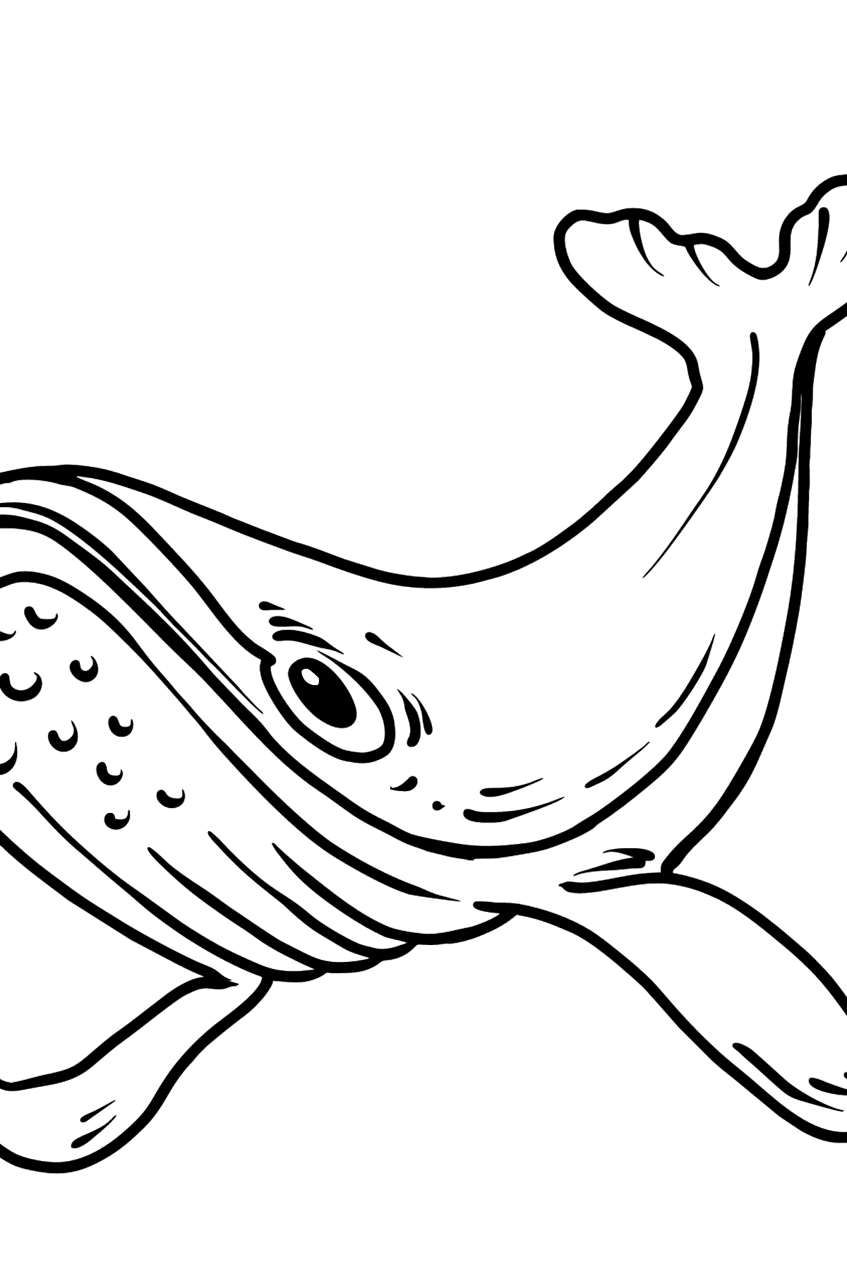 Whale coloring page - Coloring Pages for Kids