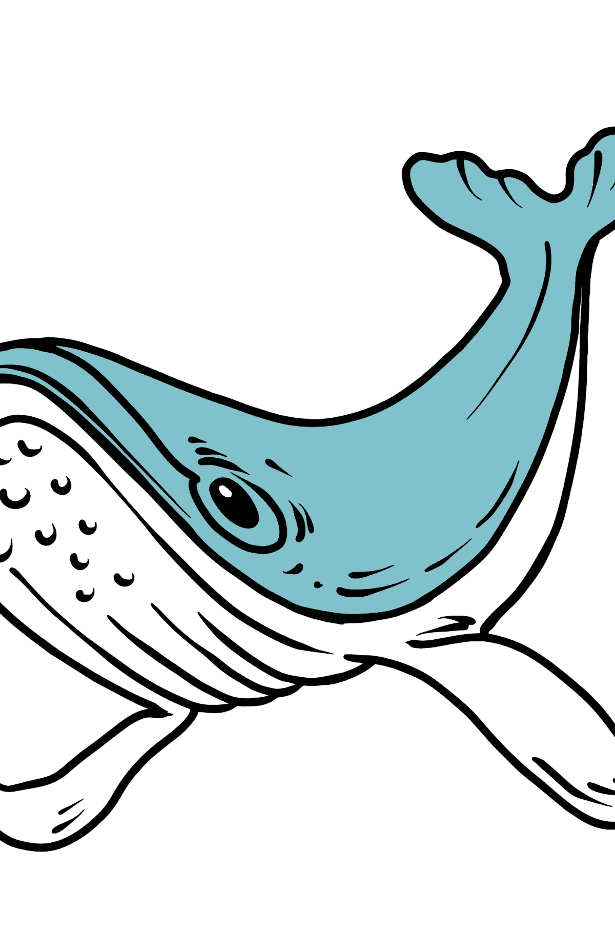 Tegning til fargelegging hval - Tegninger til fargelegging for barn