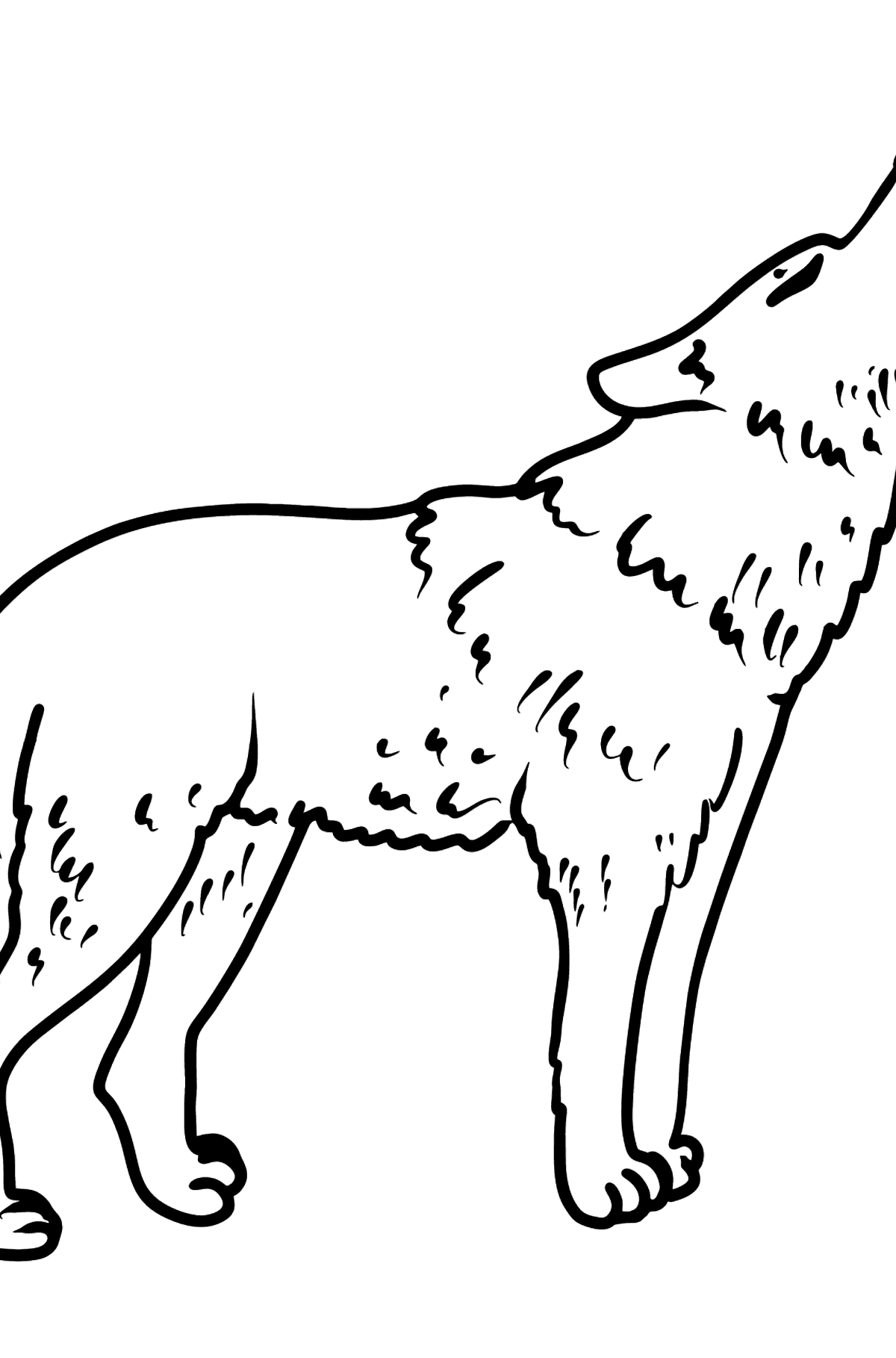 Tegning til farvning ulv - Tegninger til farvelægning for børn