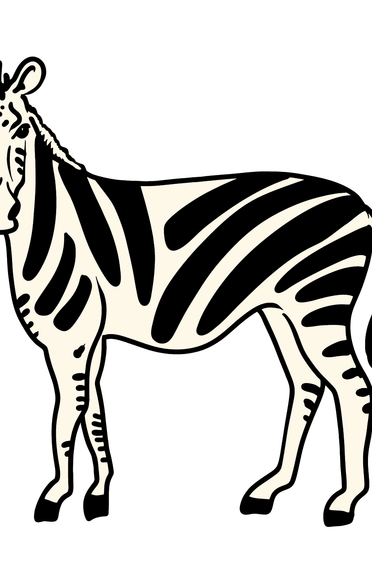 Zebra da colorare per bambini - Disegni da colorare per bambini