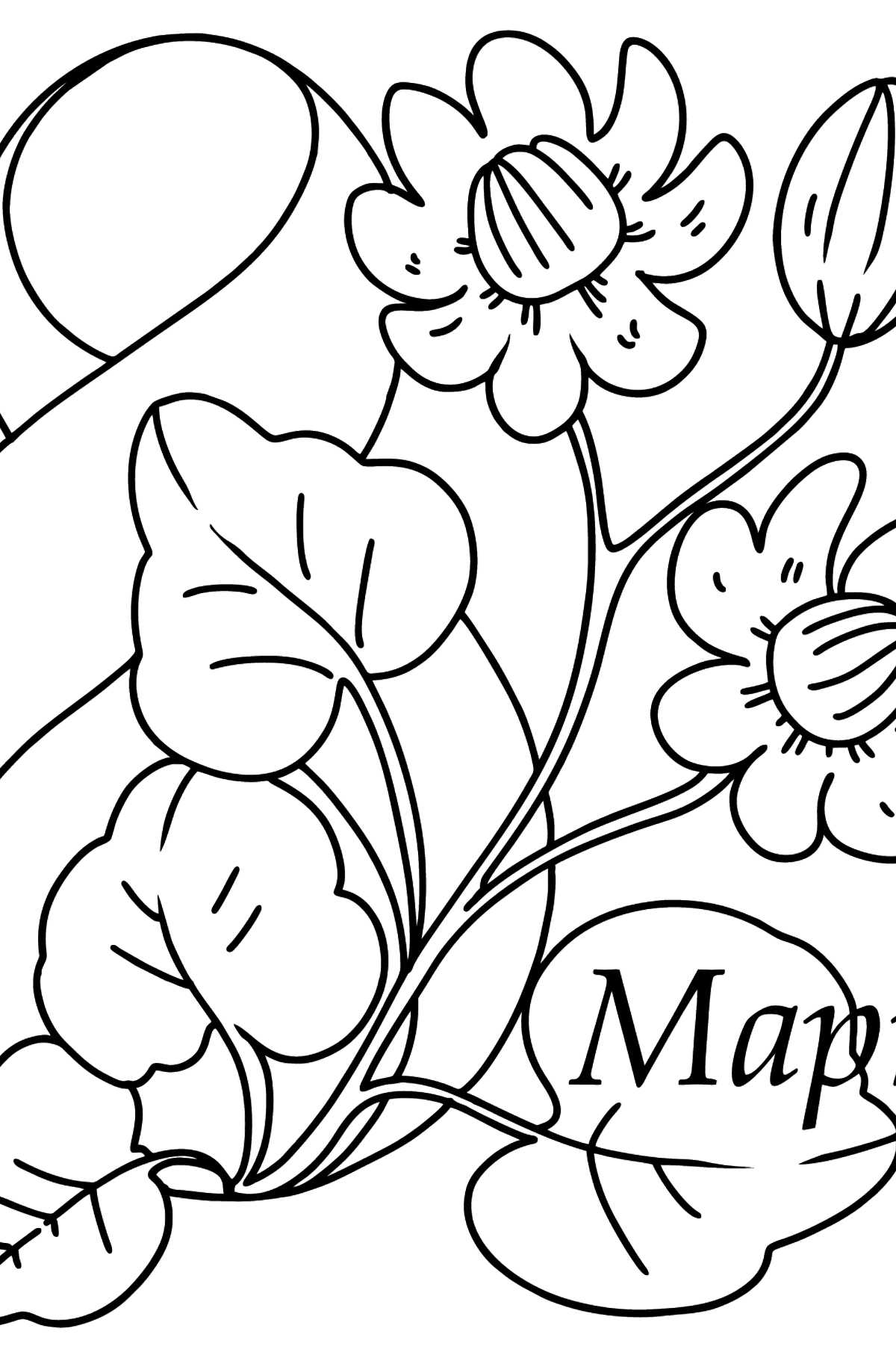 Раскраска цветы к 8 марта - Картинки для Детей