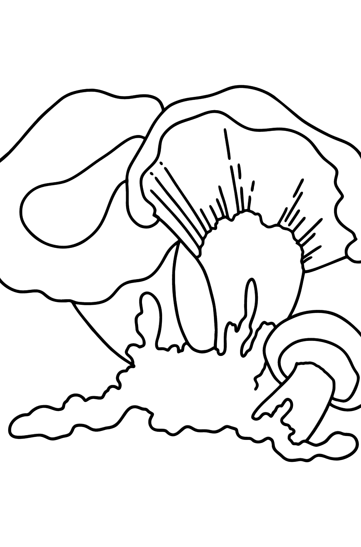 Autumn chanterelles coloring page - Coloring Pages for Kids