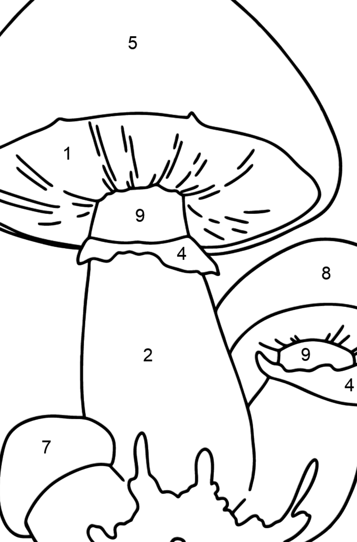 Desenho para colorir de champignon - Colorir por Números para Crianças