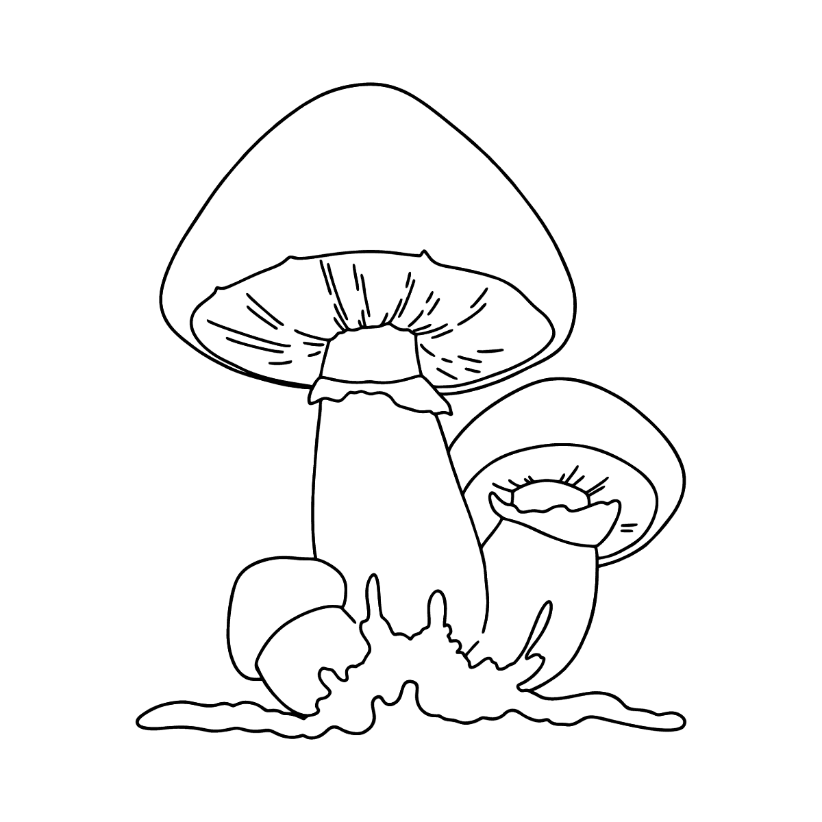 Champignons coloring page ♥ Online or Printable for Free!