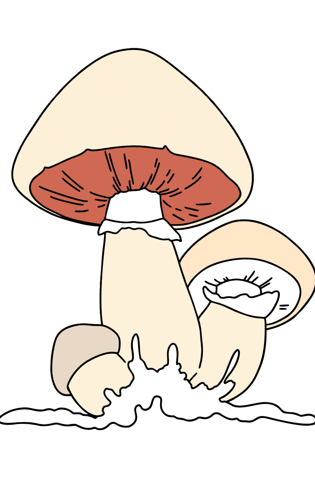 Champignons coloring page - Coloring Pages for Kids