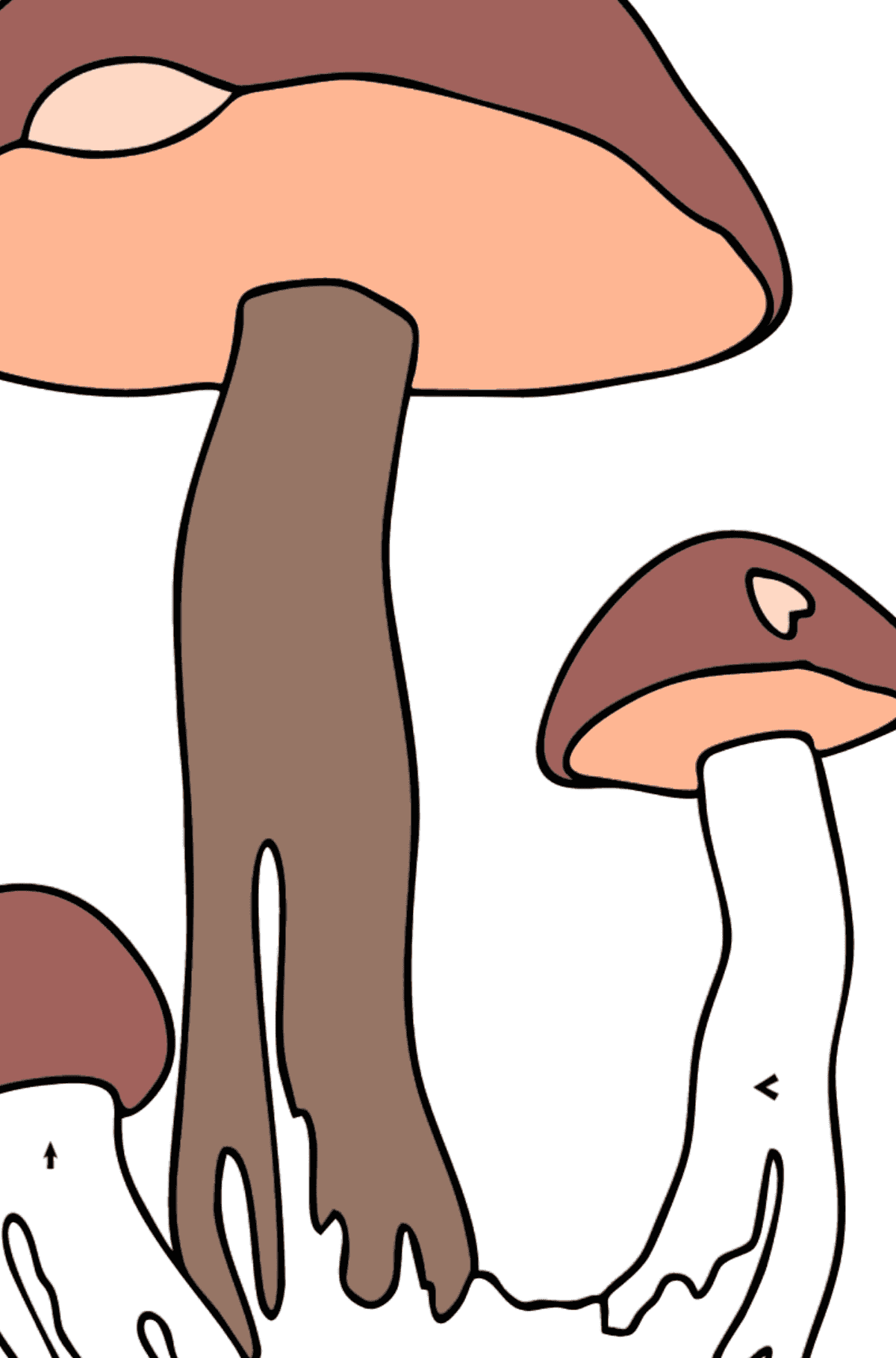 Rough boletus coloring page - Coloring by Symbols for Kids