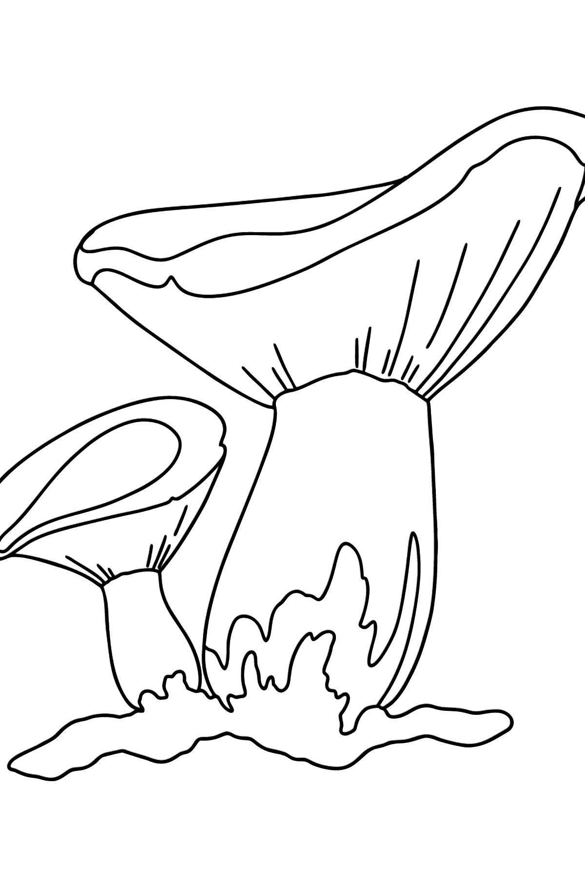 Russula coloring page - Coloring Pages for Kids