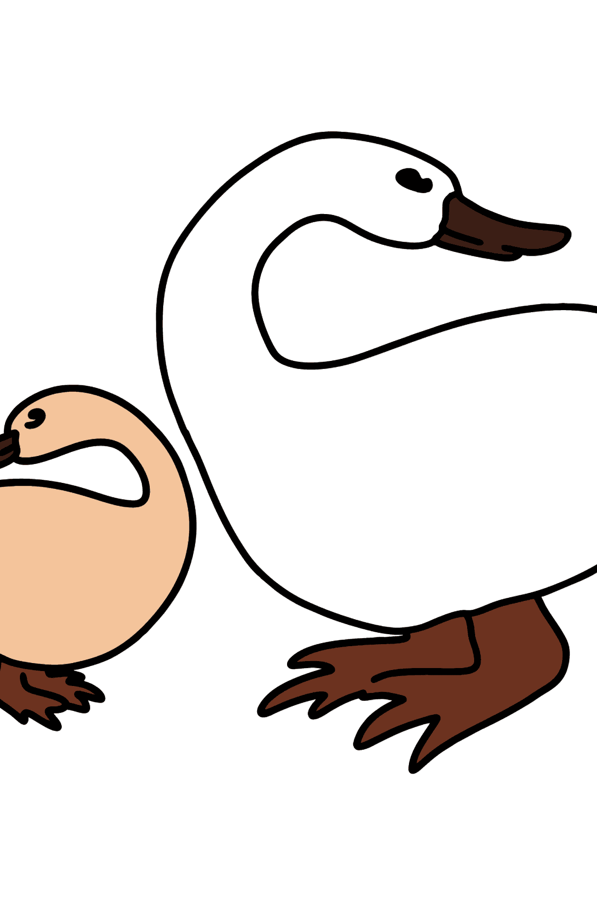 Duck with Duckling coloring page - Coloring Pages for Kids