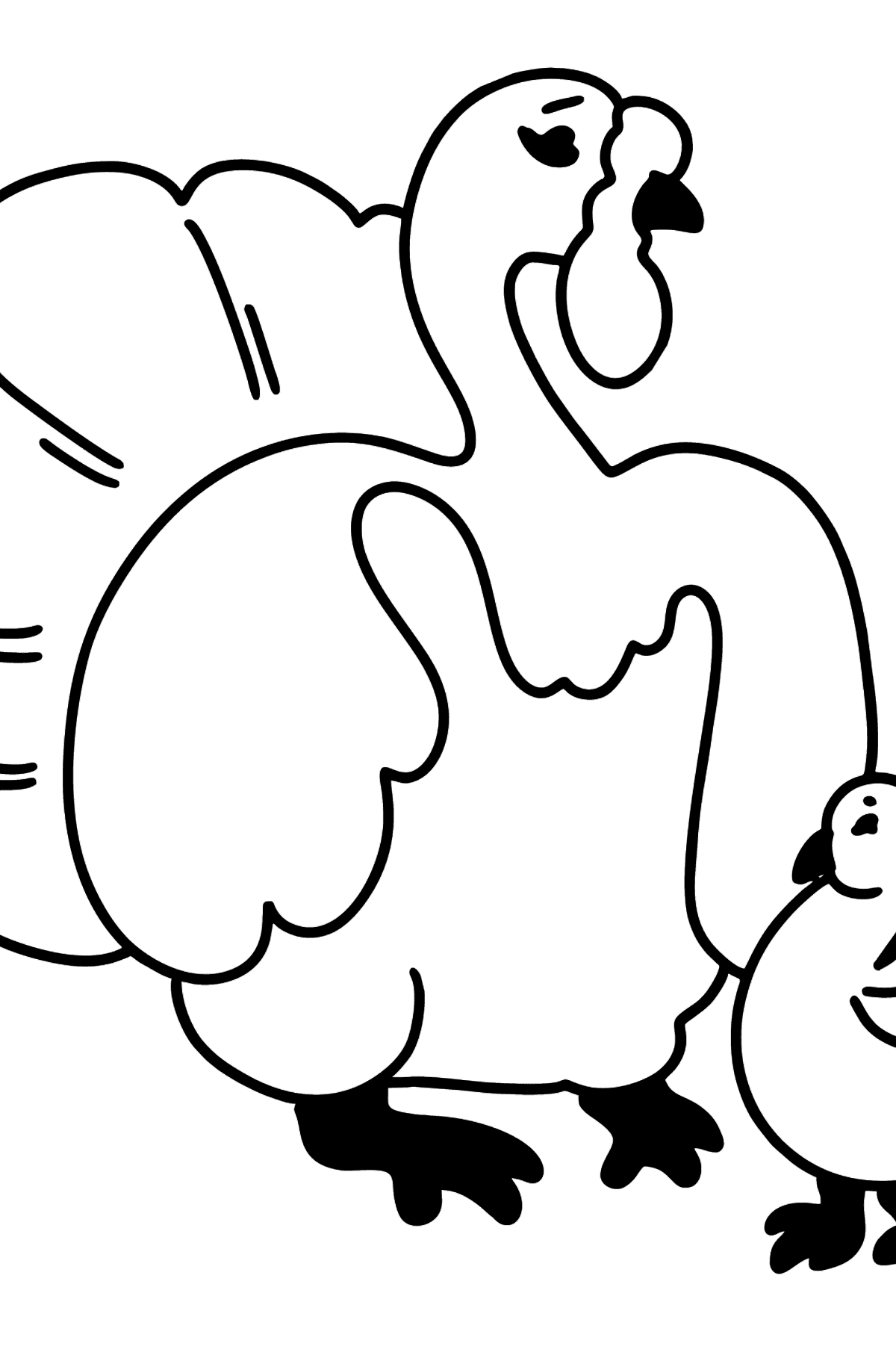 Turkey coloring page - Coloring Pages for Kids
