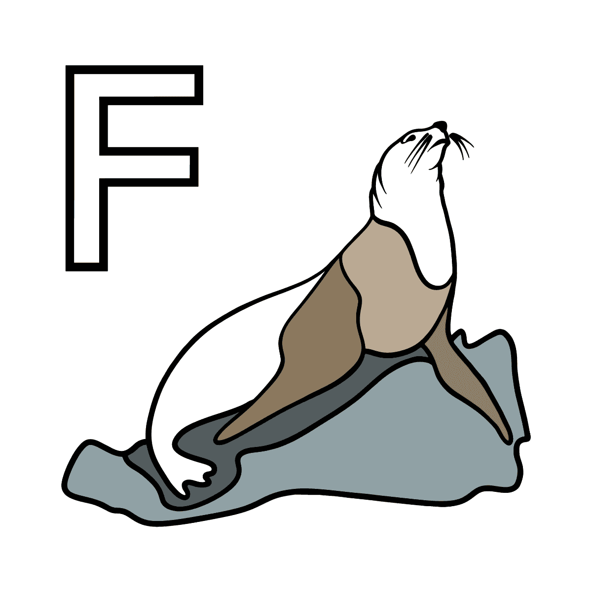 NUEVO