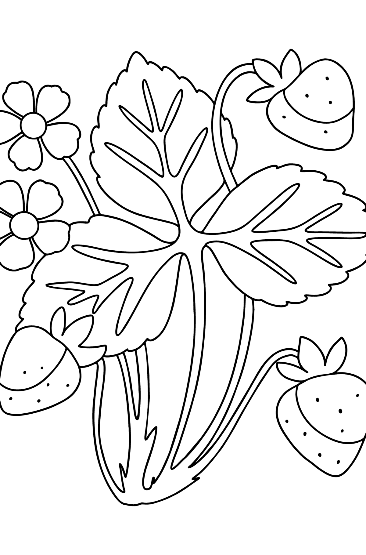Strawberry bush сoloring page - Coloring Pages for Kids