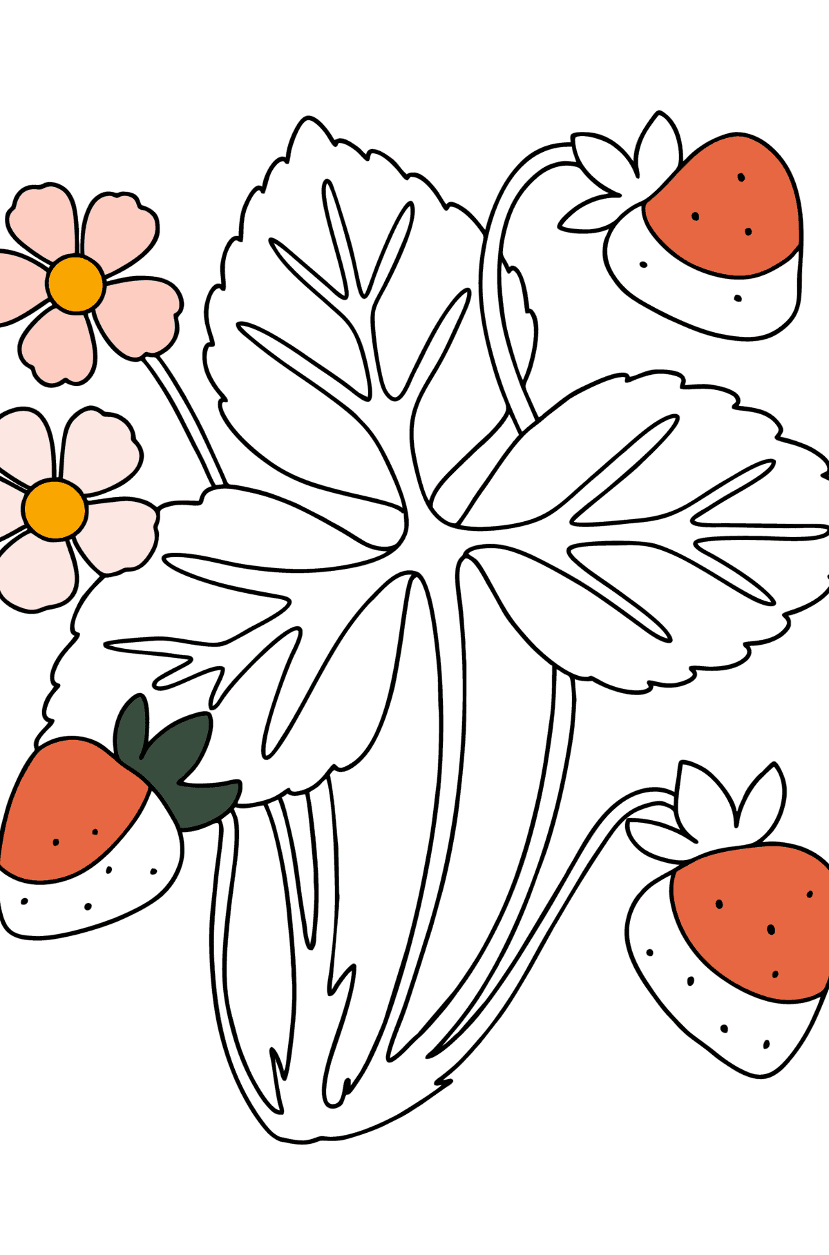 Dibujo Arbusto de fresa para colorear - Dibujos para Colorear para Niños