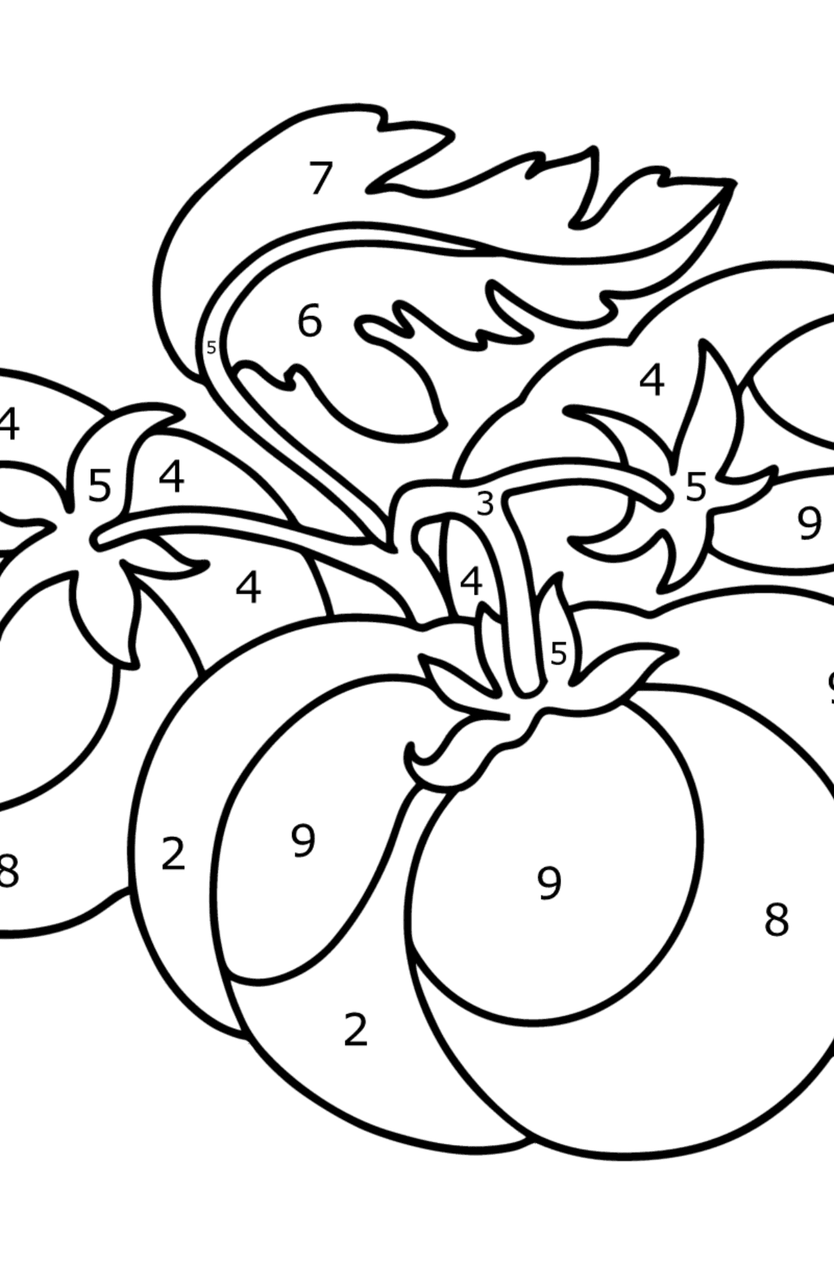 Large tomatoes сoloring page - Coloring by Numbers for Kids