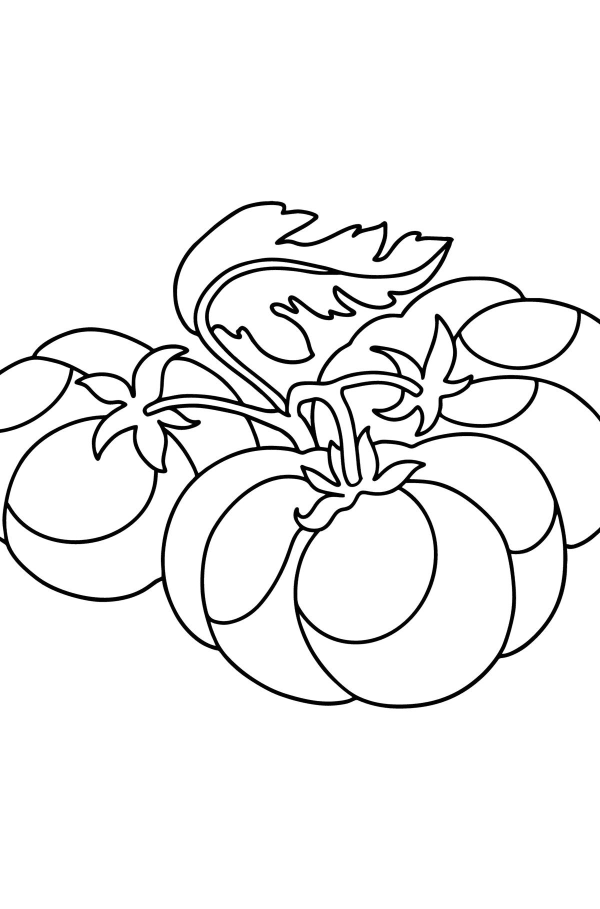 Large tomatoes сoloring page - Coloring Pages for Kids