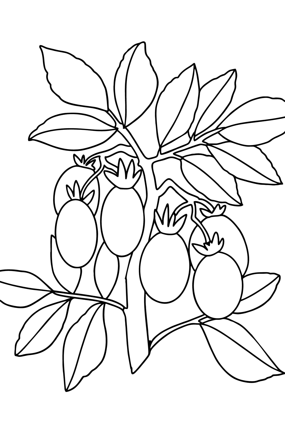 Tegning til fargelegging Tomater vokser - Tegninger til fargelegging for barn