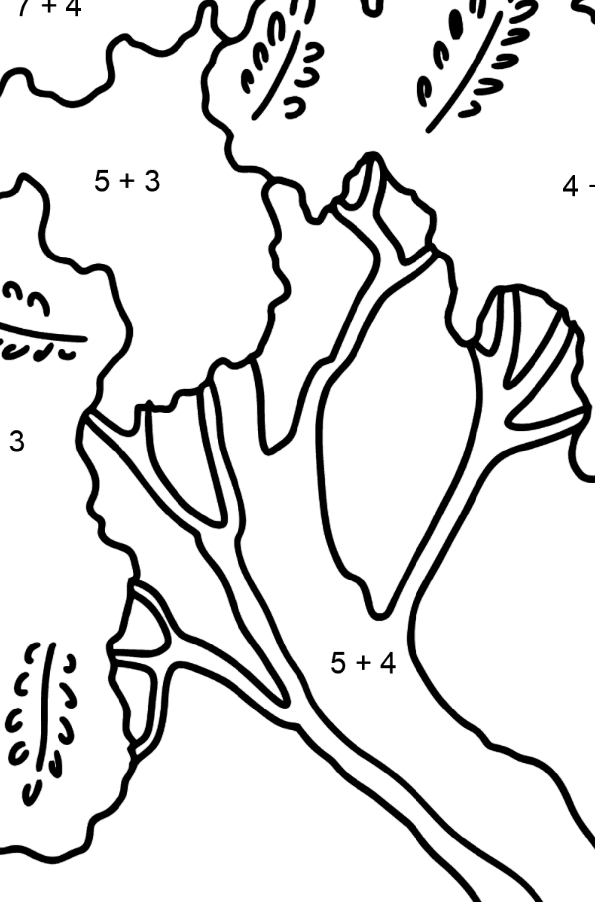 Acacia coloring page - Math Coloring - Addition for Kids