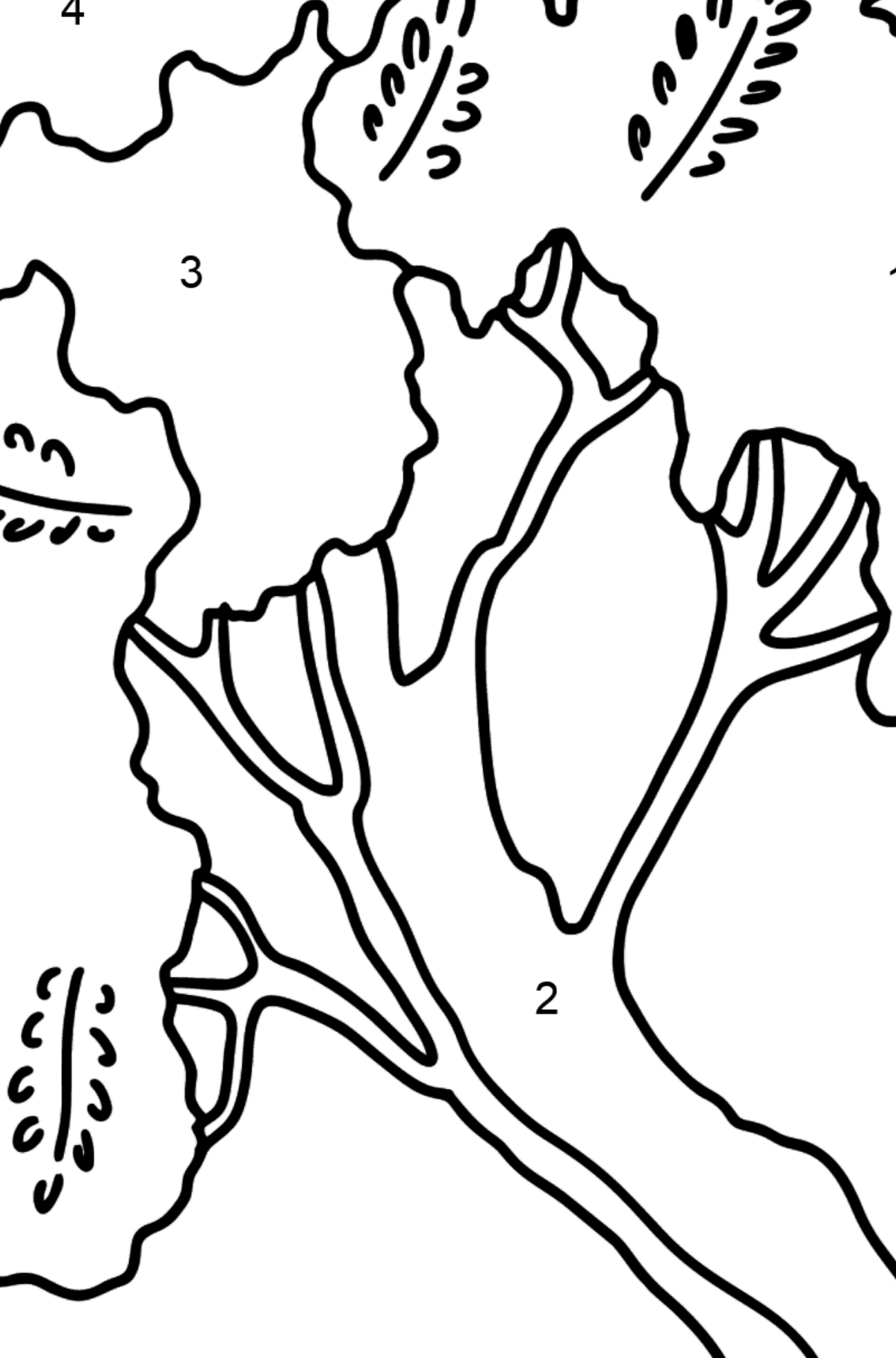 Acacia coloring page - Coloring by Numbers for Kids
