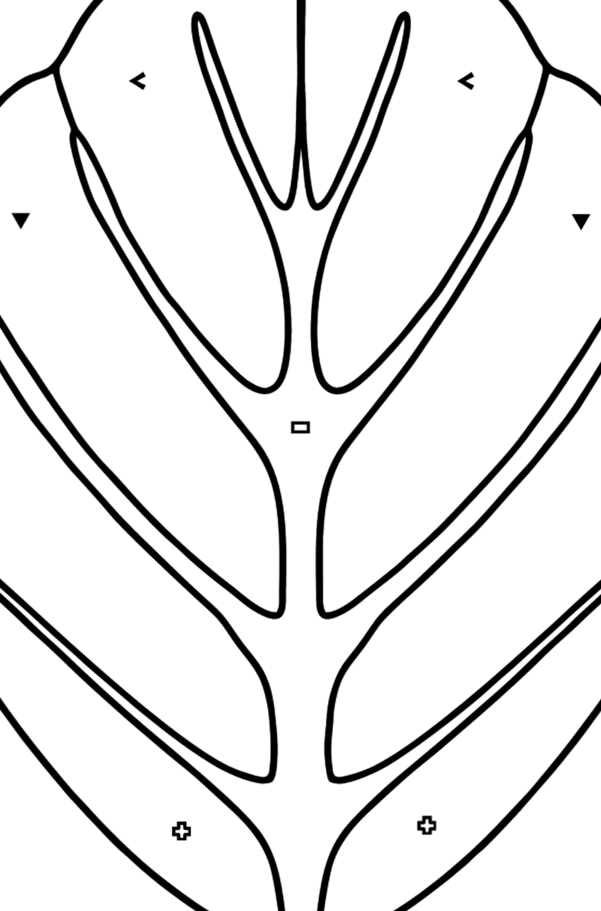 Desen de colorat frunza de arin - Desen de colorat după Simbol și Forme Geometrice pentru copii