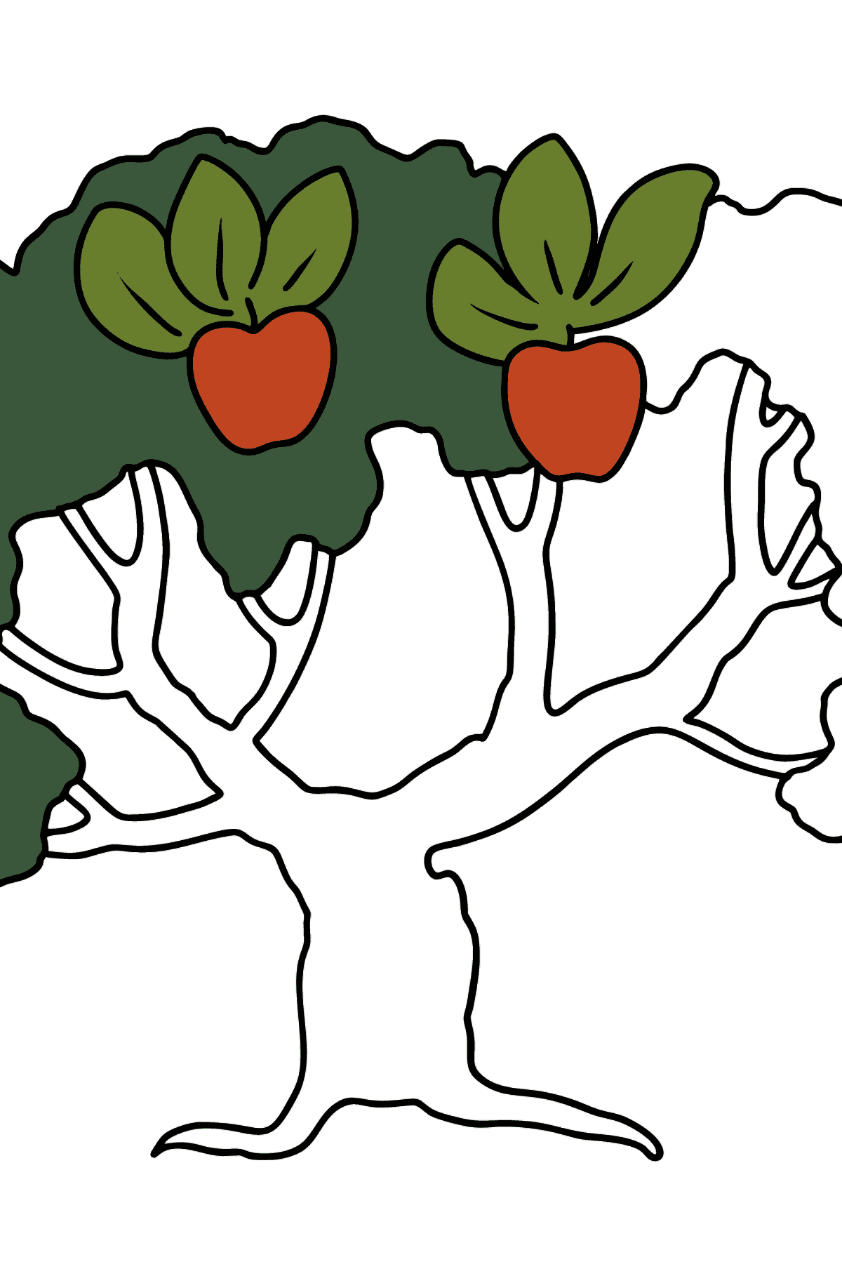 Mewarnai gambar pohon apel - Mewarnai gambar untuk anak-anak