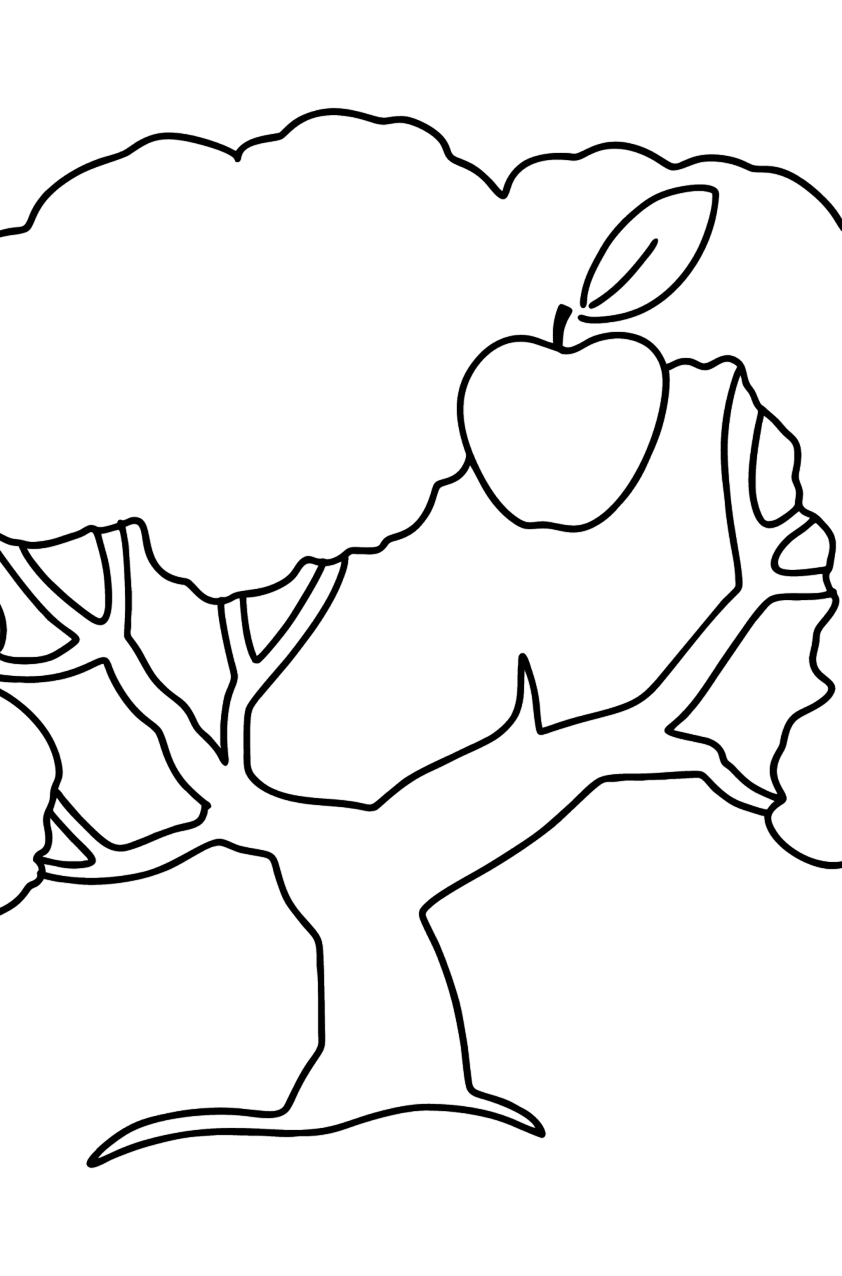Розмальовка Яблуня Простий малюнок - Розмальовки для дітей