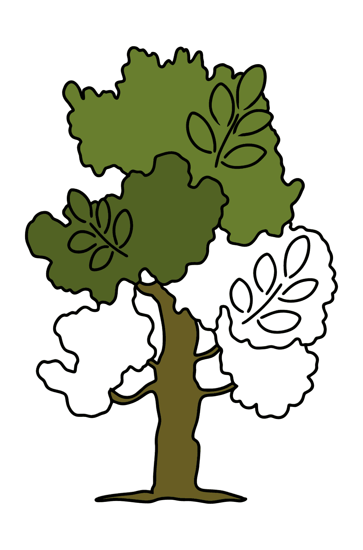 Desenho para colorir de Ash Tree - Imagens para Colorir para Crianças